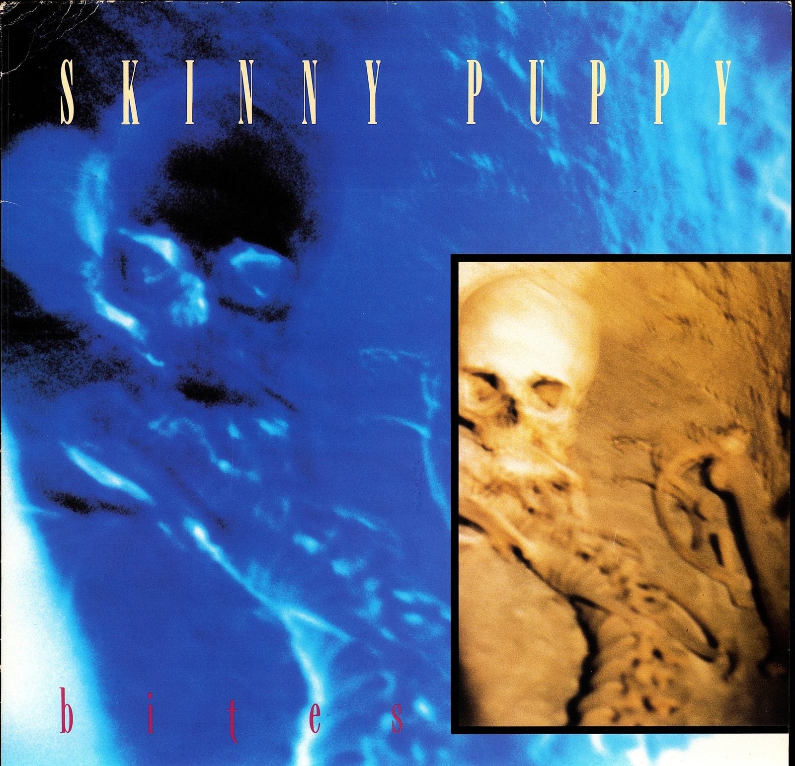 Trisomie 21 ‎- Final Work Vinyl 12" Kopie