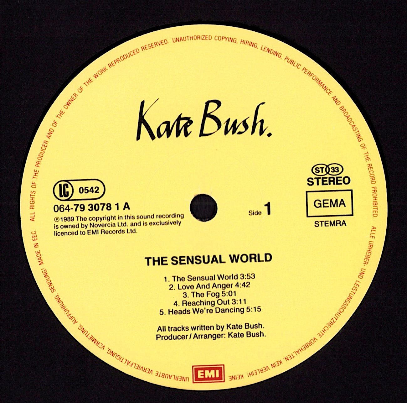 Kate Bush - The Sensual World Vinyl LP Kopie