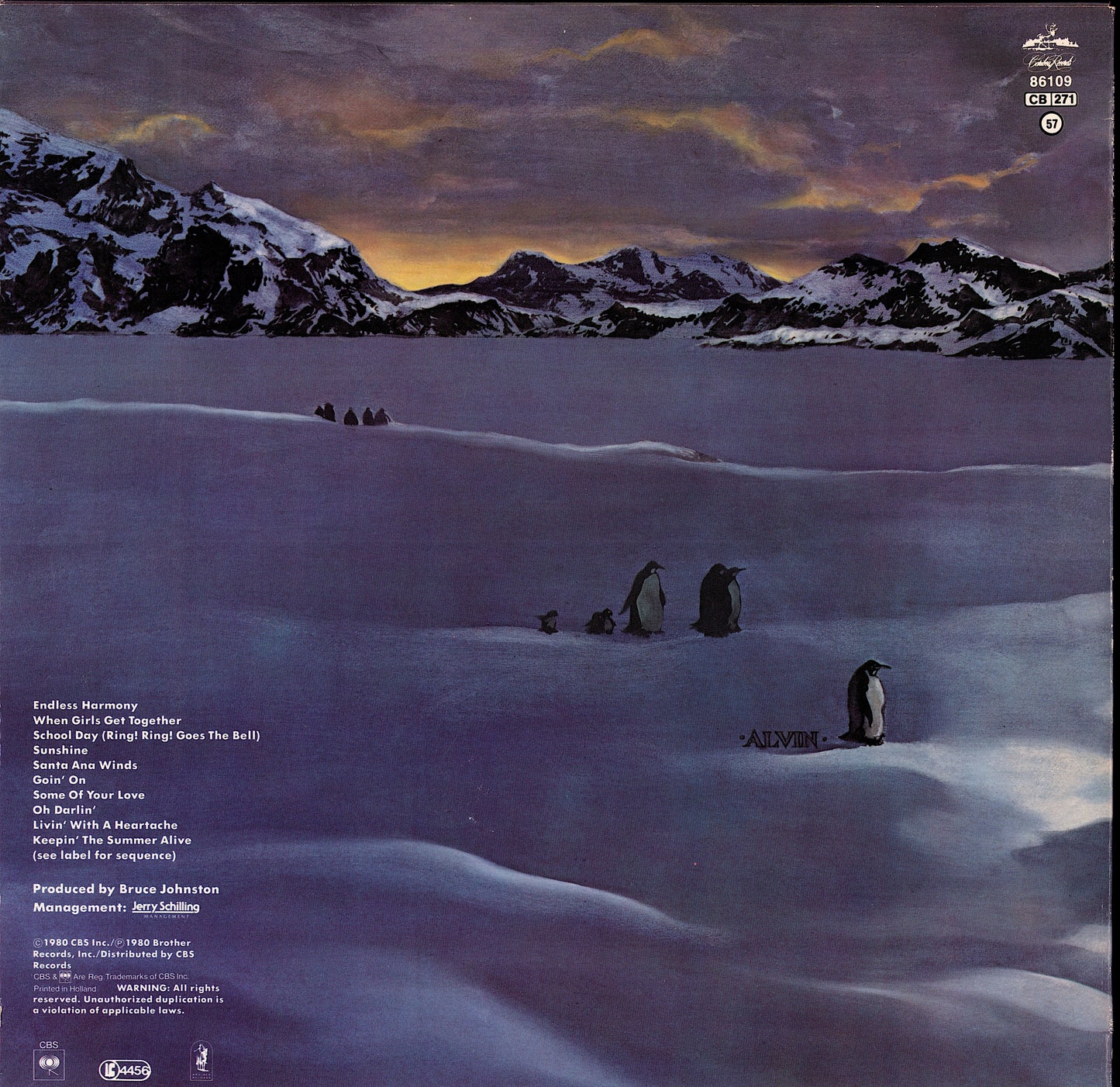 The Beach Boys – Holland Vinyl LP Kopie