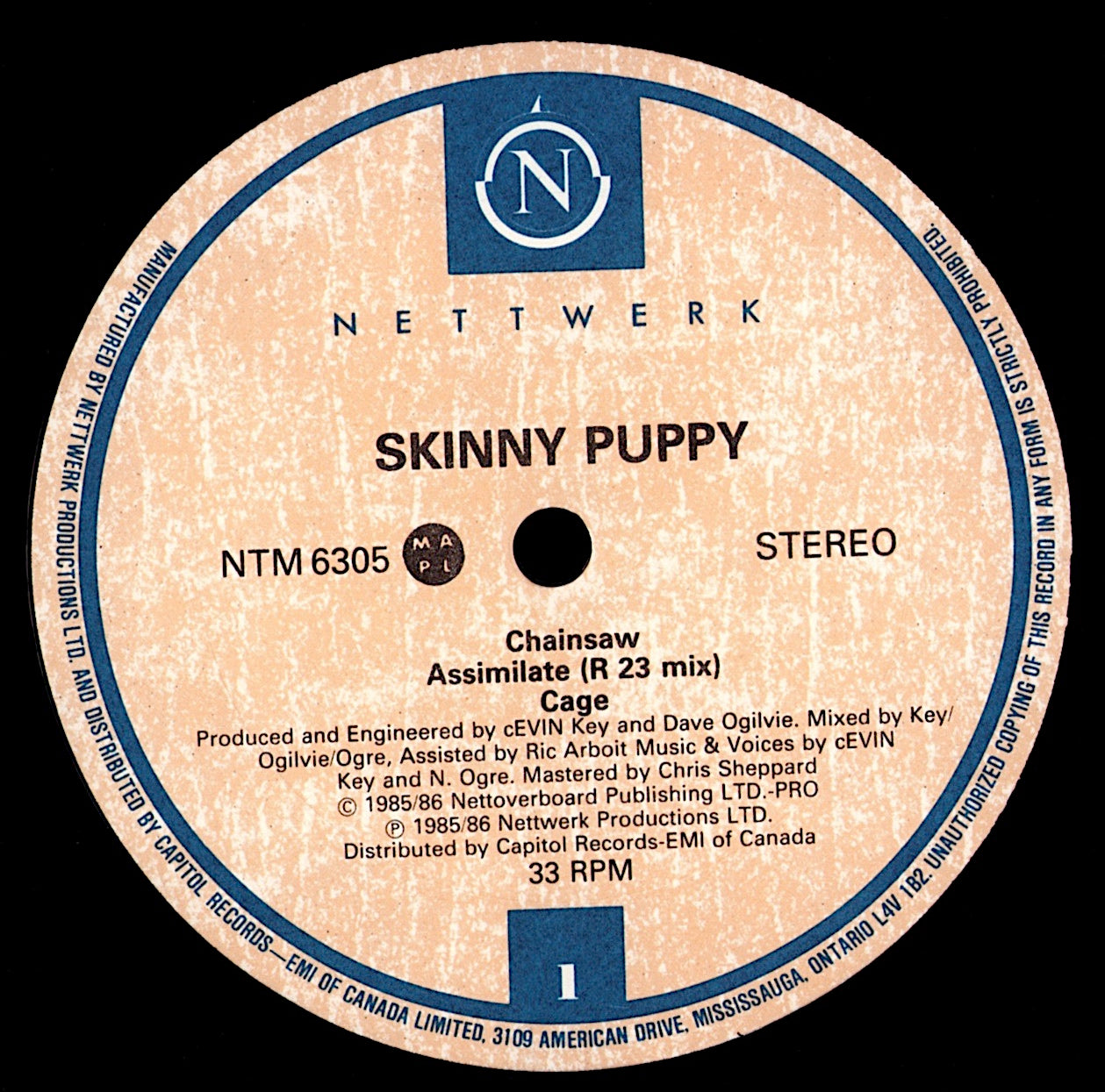 Trisomie 21 ‎- Final Work Vinyl 12" Kopie Kopie Kopie Kopie