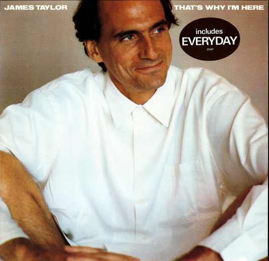 Chris Rea ‎- On The Beach Vinyl LP Kopie Kopie