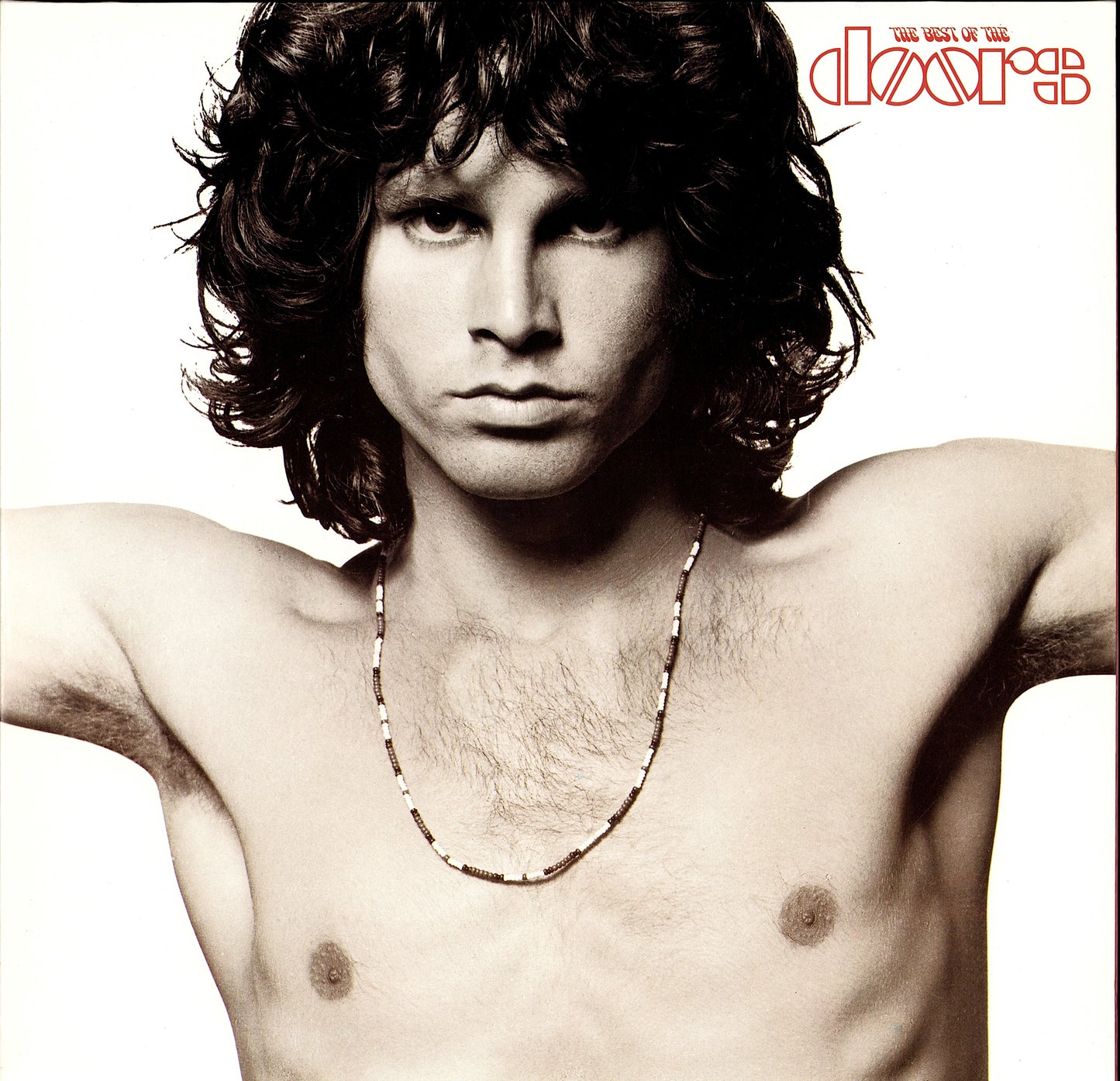 The Doors - The Best of the Doors (Vinyl 2LP)