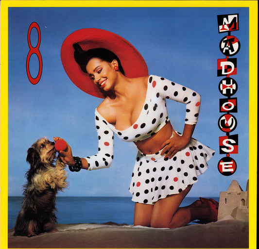 Living Colour ‎- Time's Up Vinyl LP Kopie Kopie Kopie