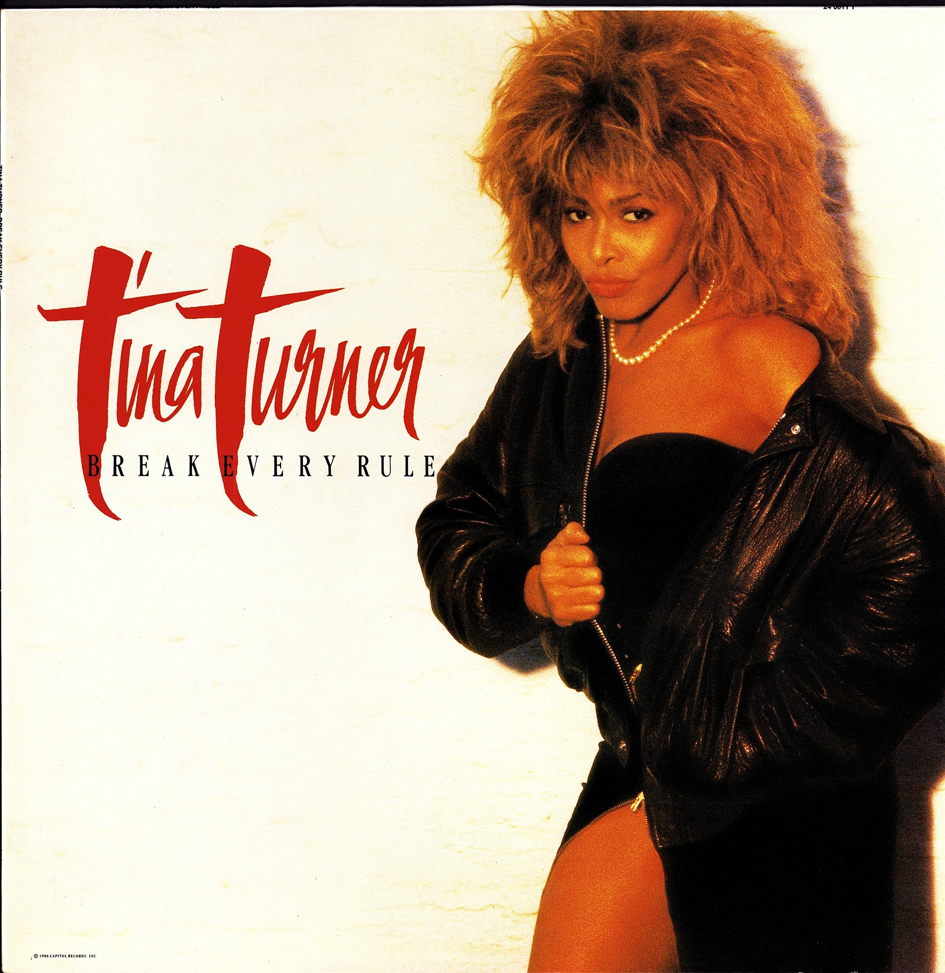 Tina Turner - Break Every Rule Vinyl LP Kopie