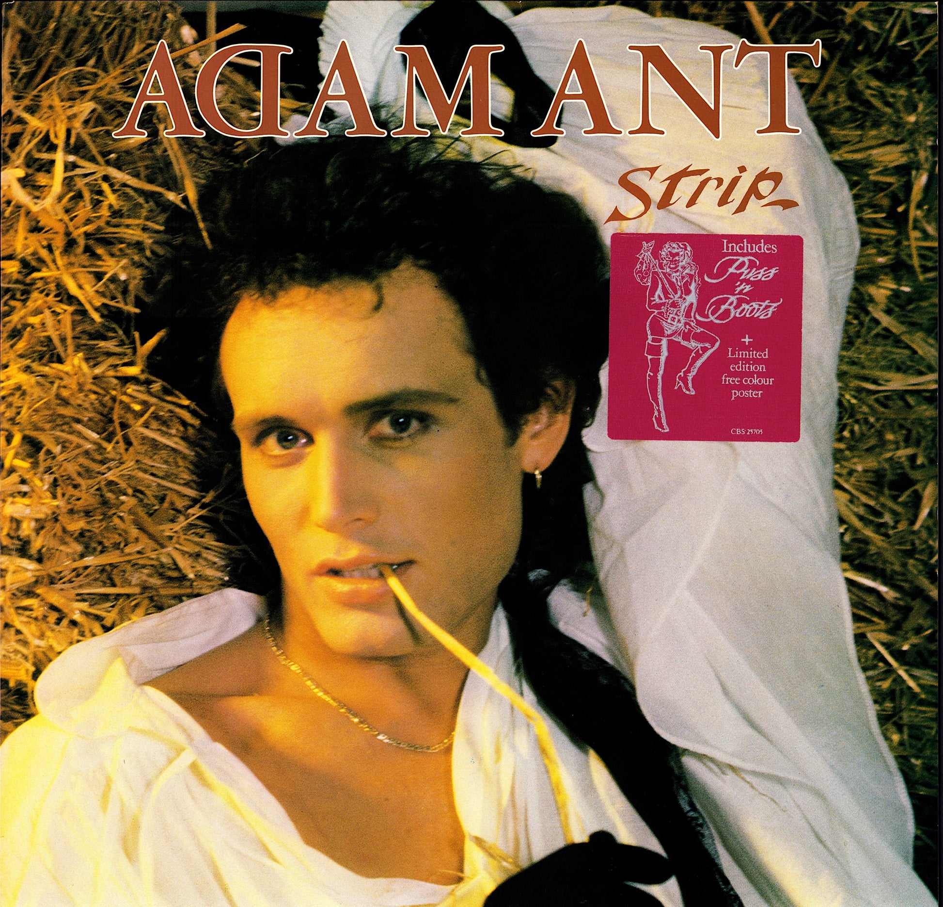 Adam Ant - Strip Vinyl LP | UK Original | 1983