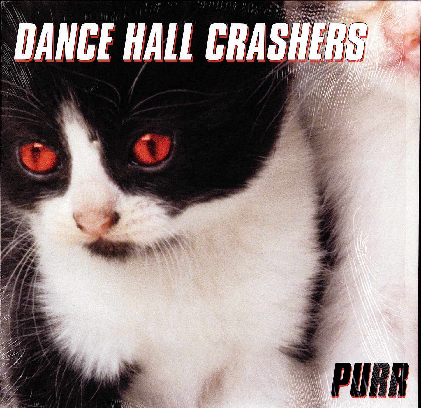 Dance Hall Crashers – Purr Vinyl LP
