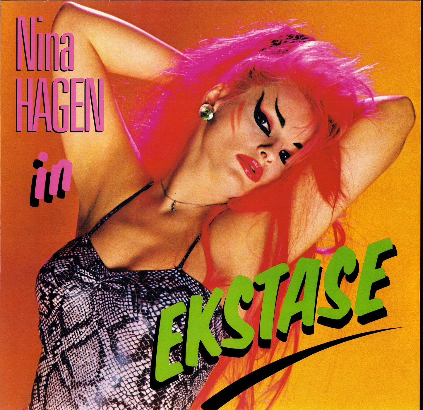 Nina Hagen Band – Nina Hagen Band Vinyl LP Kopie Kopie