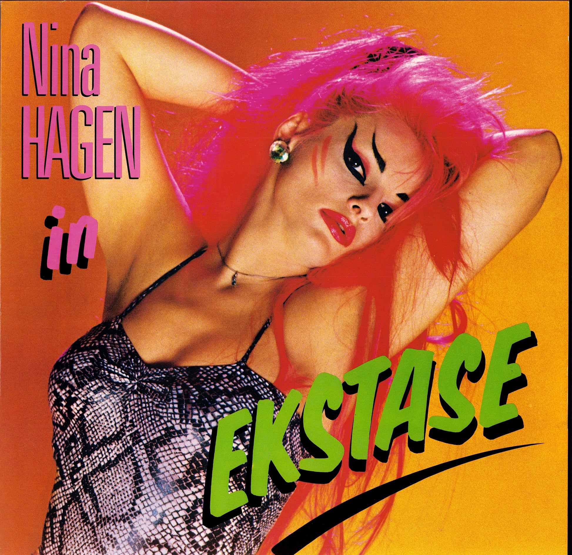 Nina Hagen Band – Nina Hagen Band Vinyl LP Kopie Kopie