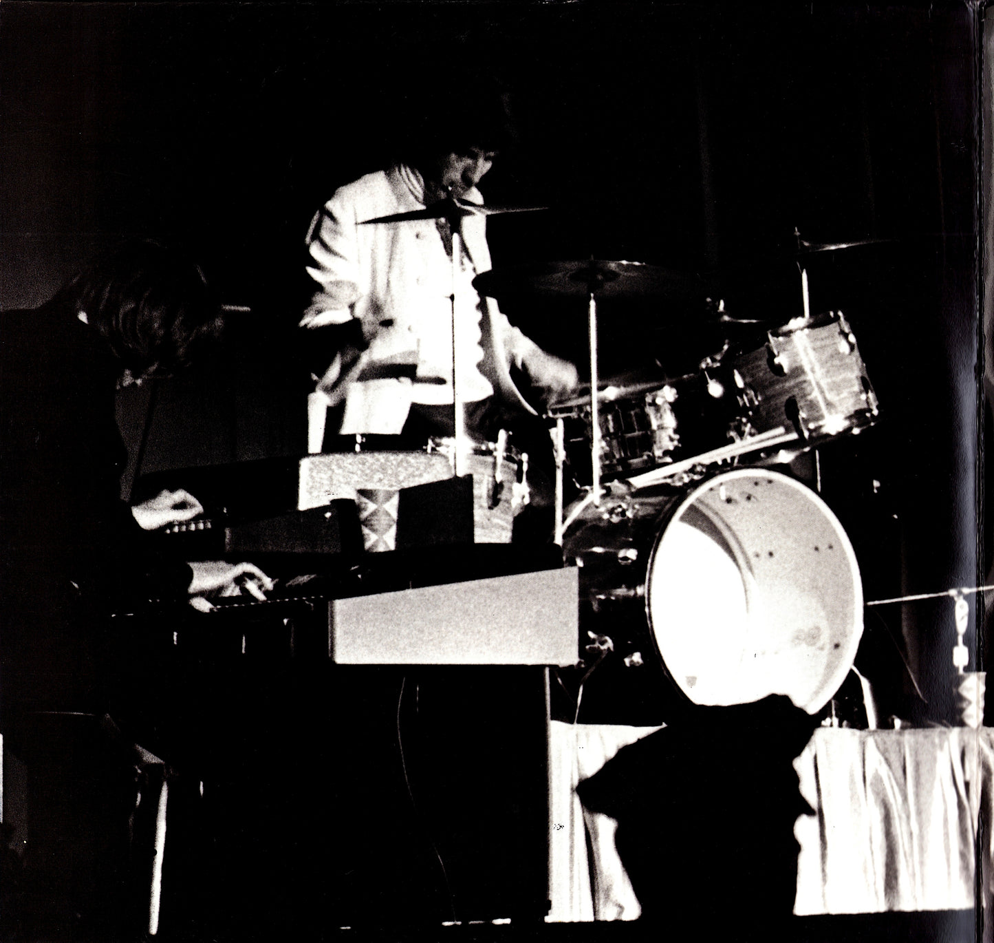 The Doors - Weird Scenes Inside The Gold Mine Vinyl 2LP EU Kopie