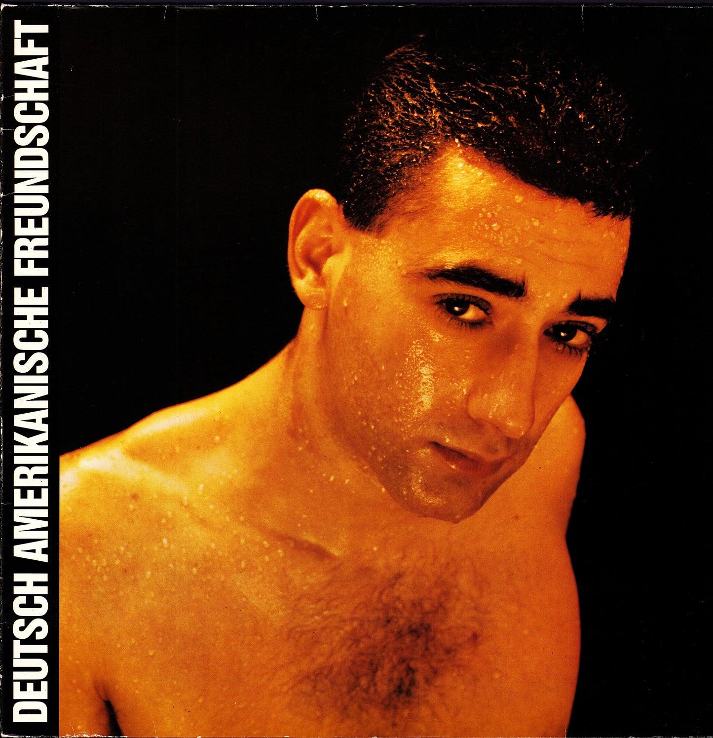 Deutsch Amerikanische Freundschaft – Alles Ist Gut Vinyl LP