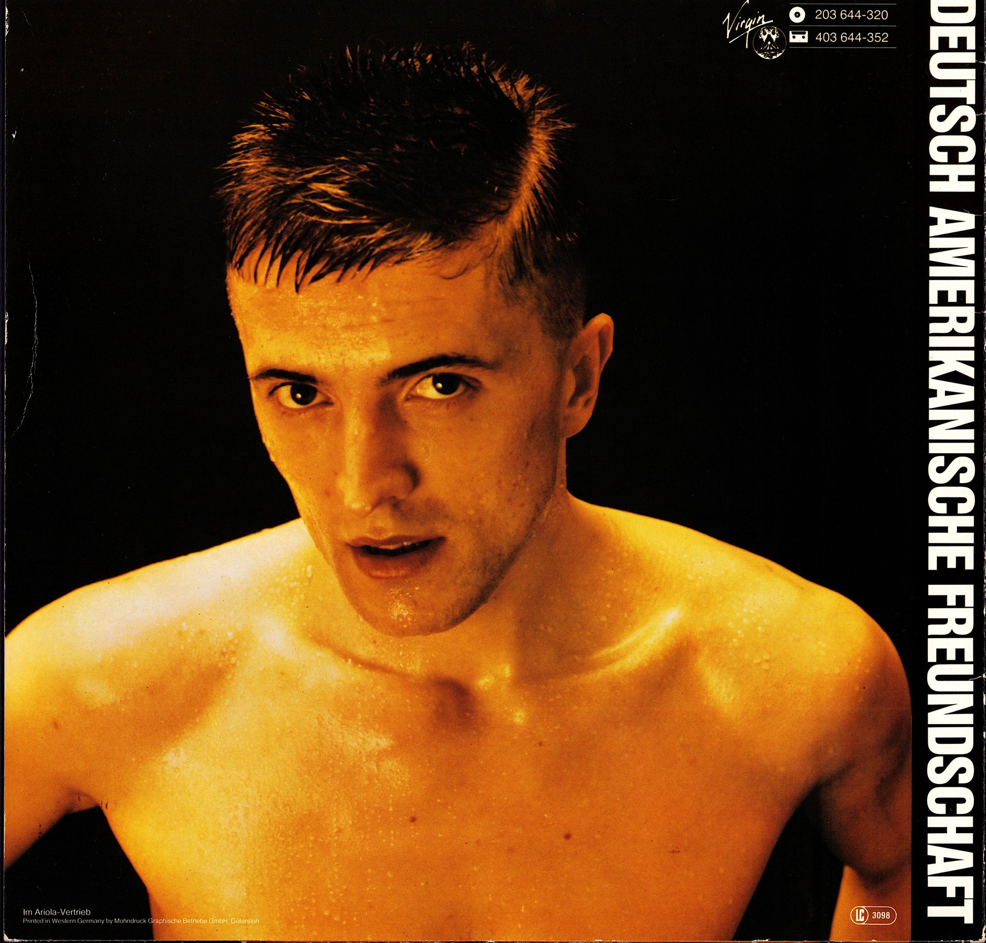 Deutsch Amerikanische Freundschaft – Alles Ist Gut Vinyl LP