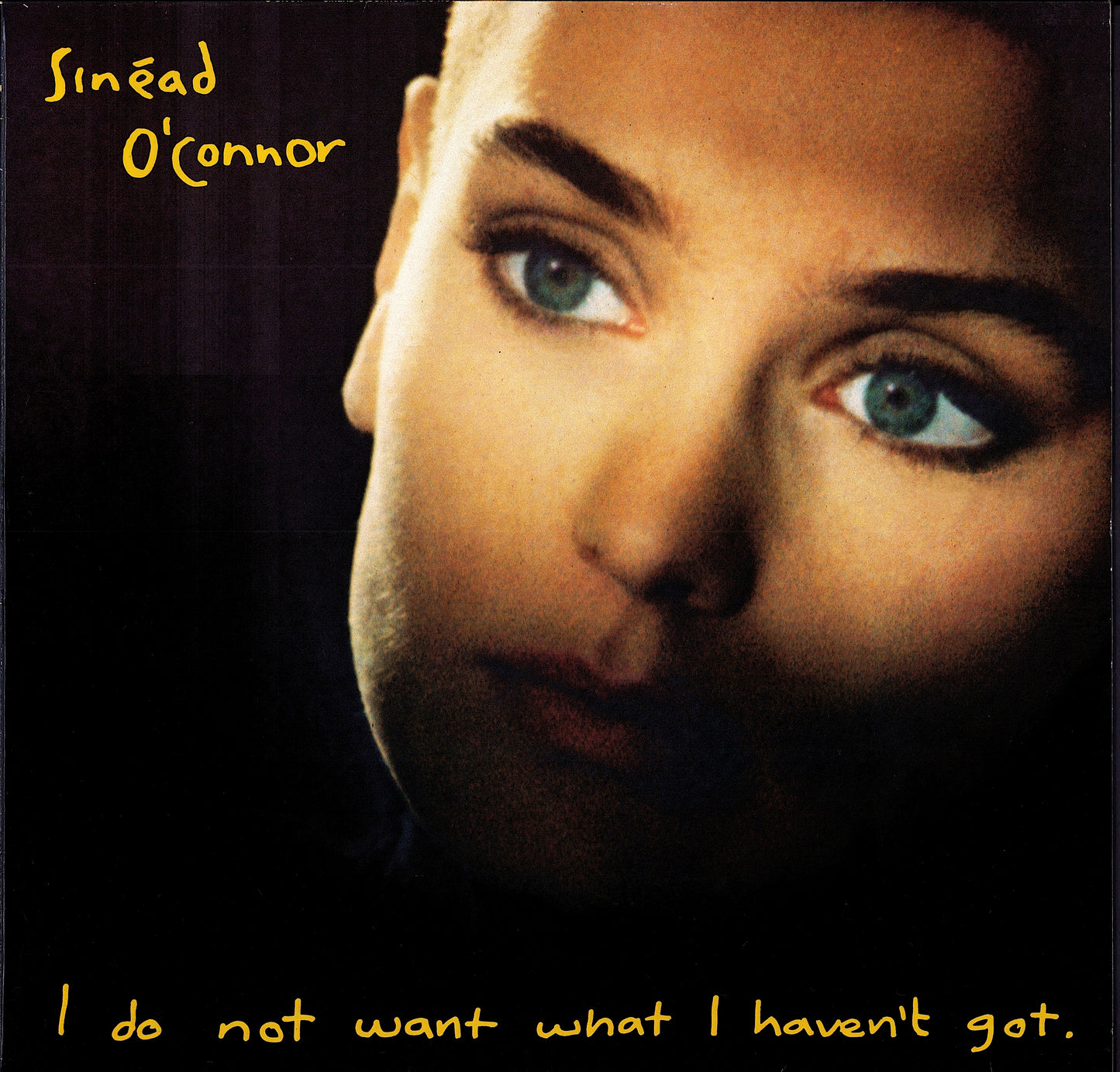 Sinéad O'Connor ‎- I Do Not Want What I Haven't Got Vinyl LP Kopie