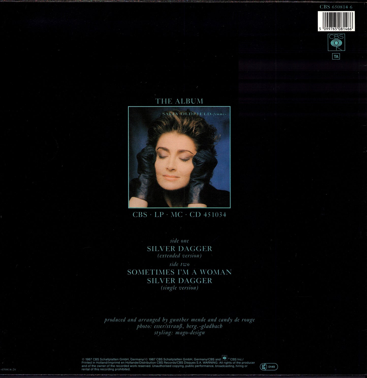 Mike Oldfield With Jon Anderson ‎- Shine (Vinyl 12") 