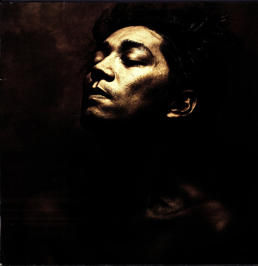 Ryuichi Sakamoto – Beauty (Vinyl LP)