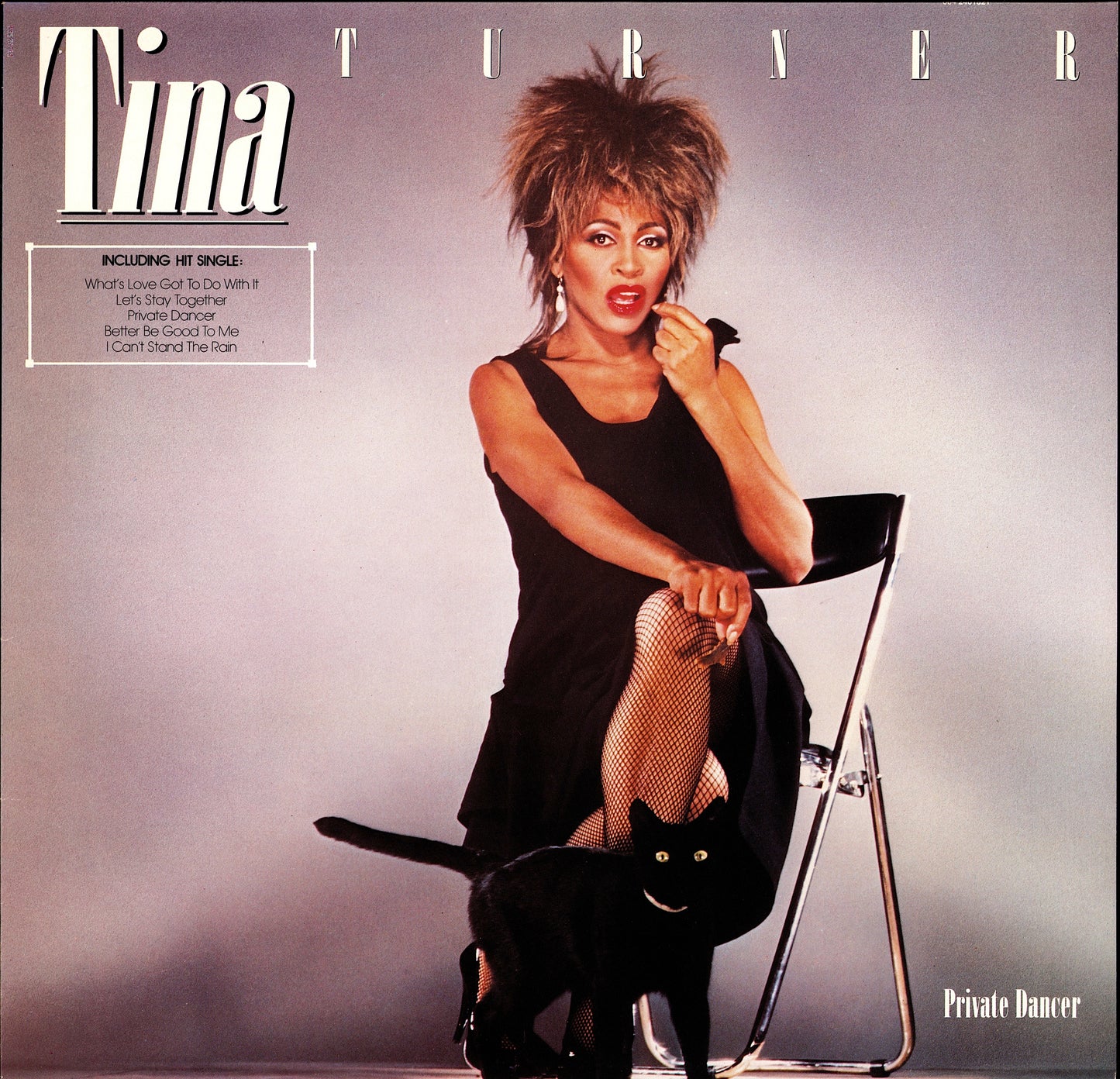 Tina Turner - Private Dancer Vinyl LP Kopie