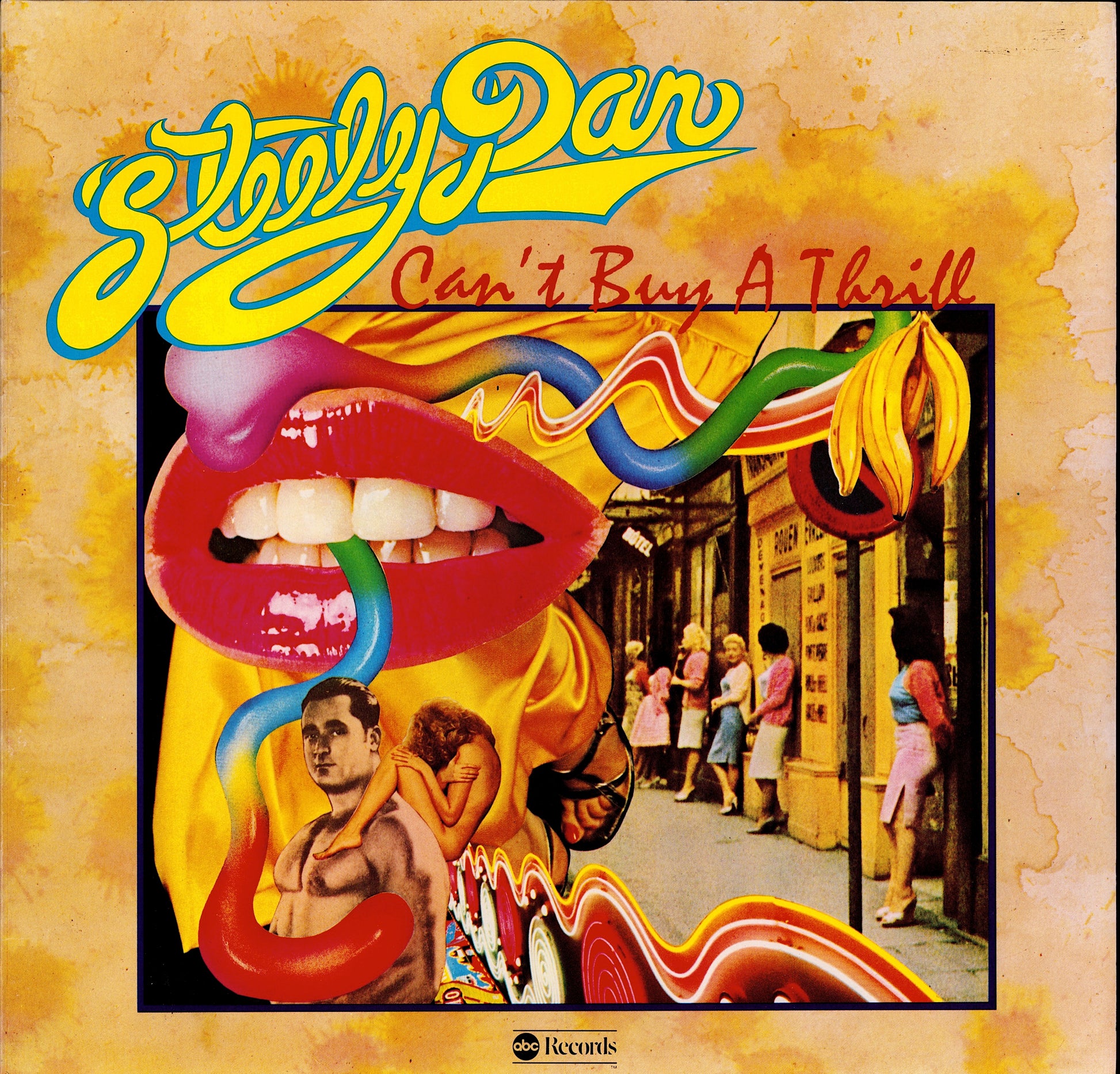 Steely Dan ‎- Can't Buy A Thrill Vinyl LP