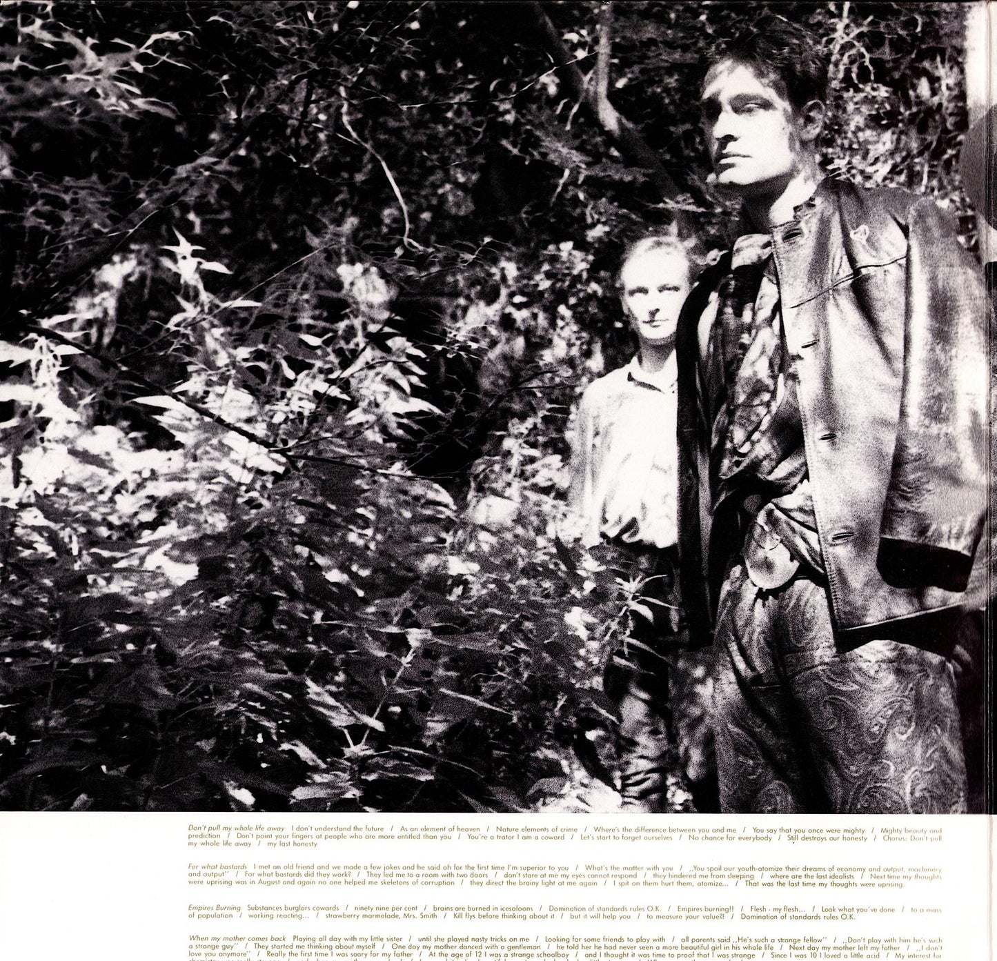 Phillip Boa And The Voodoo Club - Aristocracie Vinyl LP