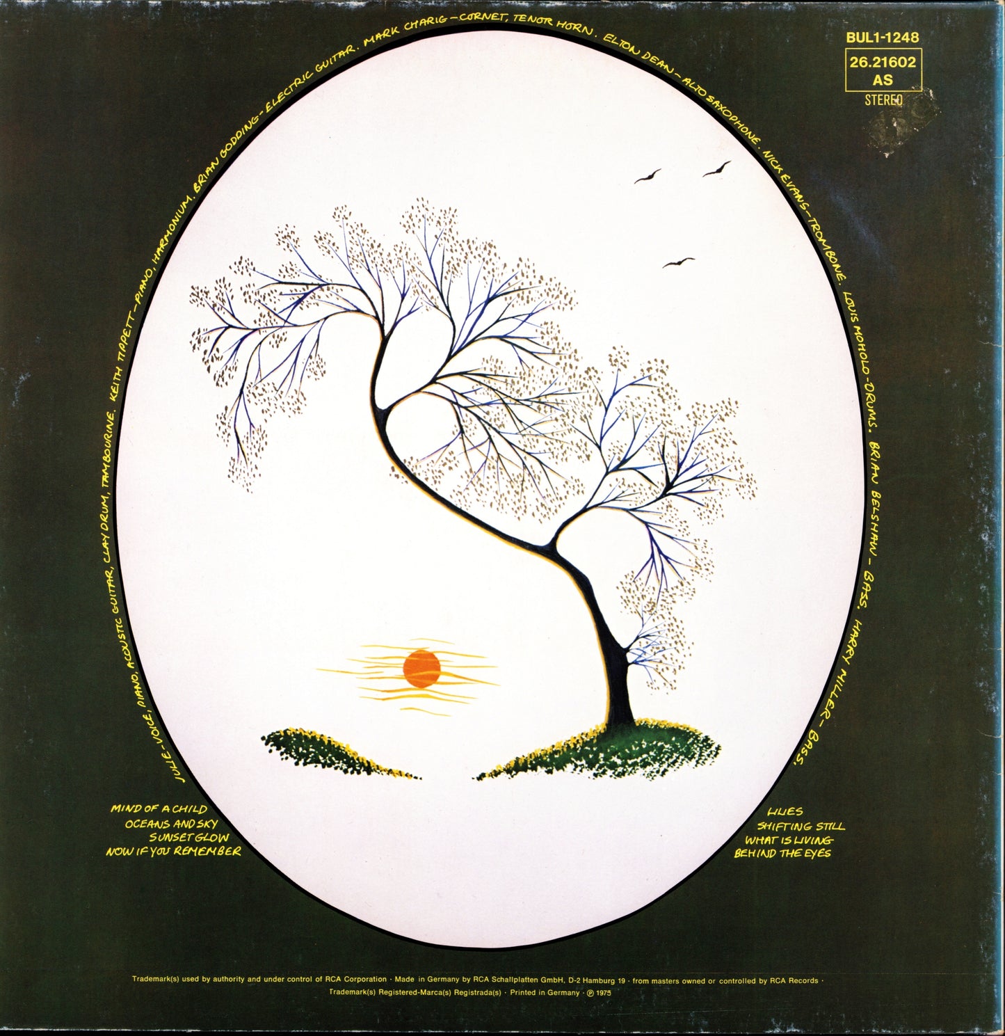 Julie Tippetts – Sunset Glow Vinyl LP