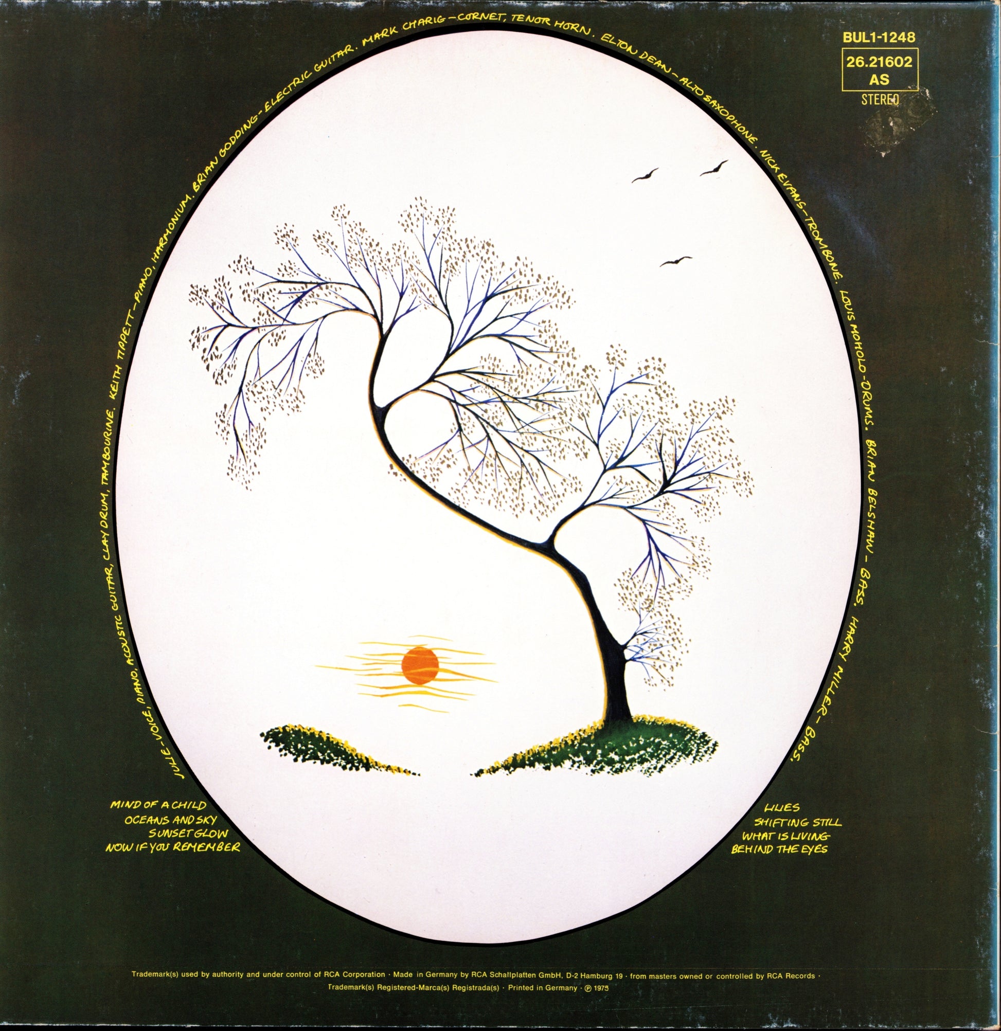 Julie Tippetts – Sunset Glow Vinyl LP