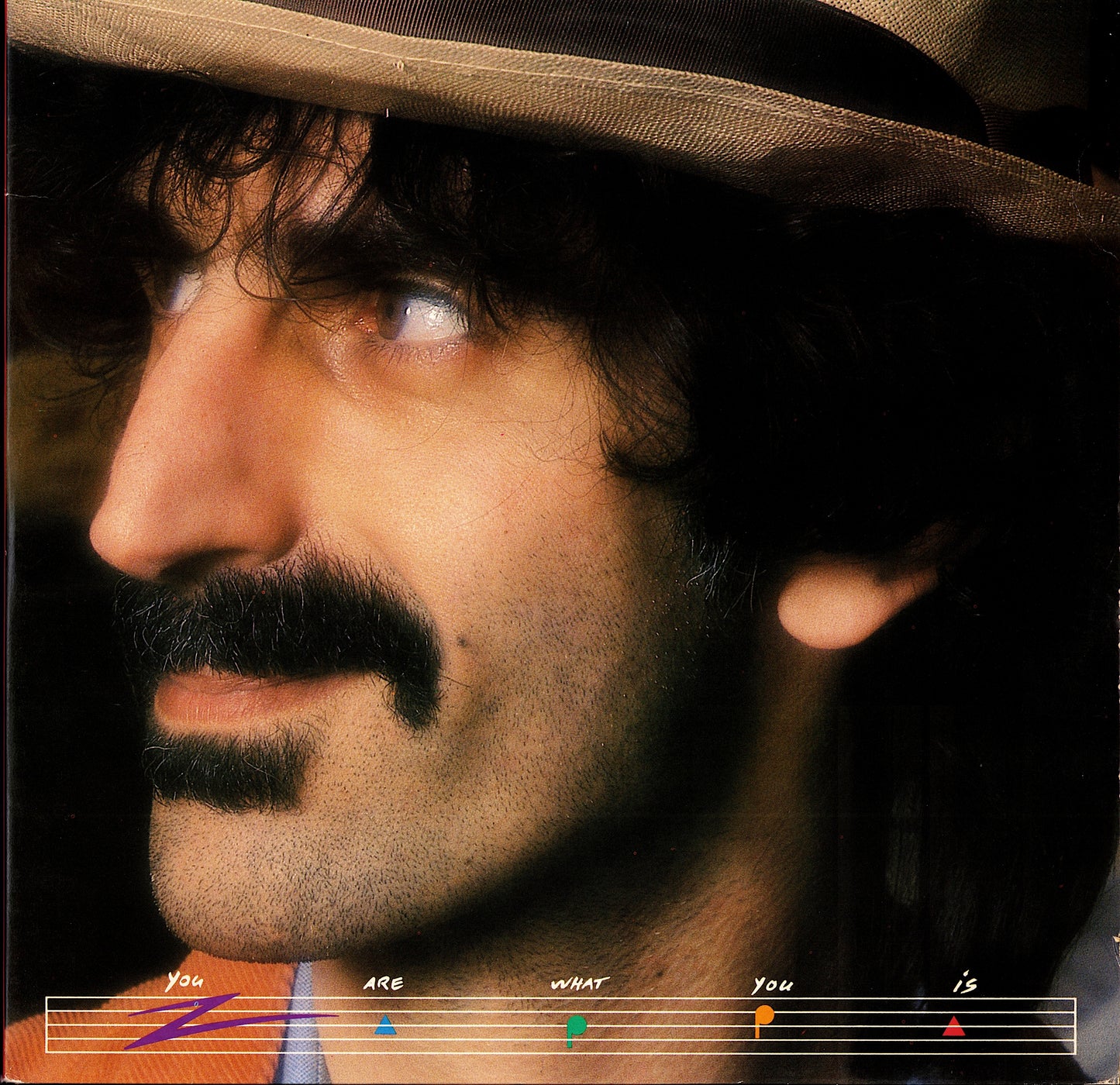 Frank Zappa ‎- You Are What You Is Vinyl 2LP Kopie