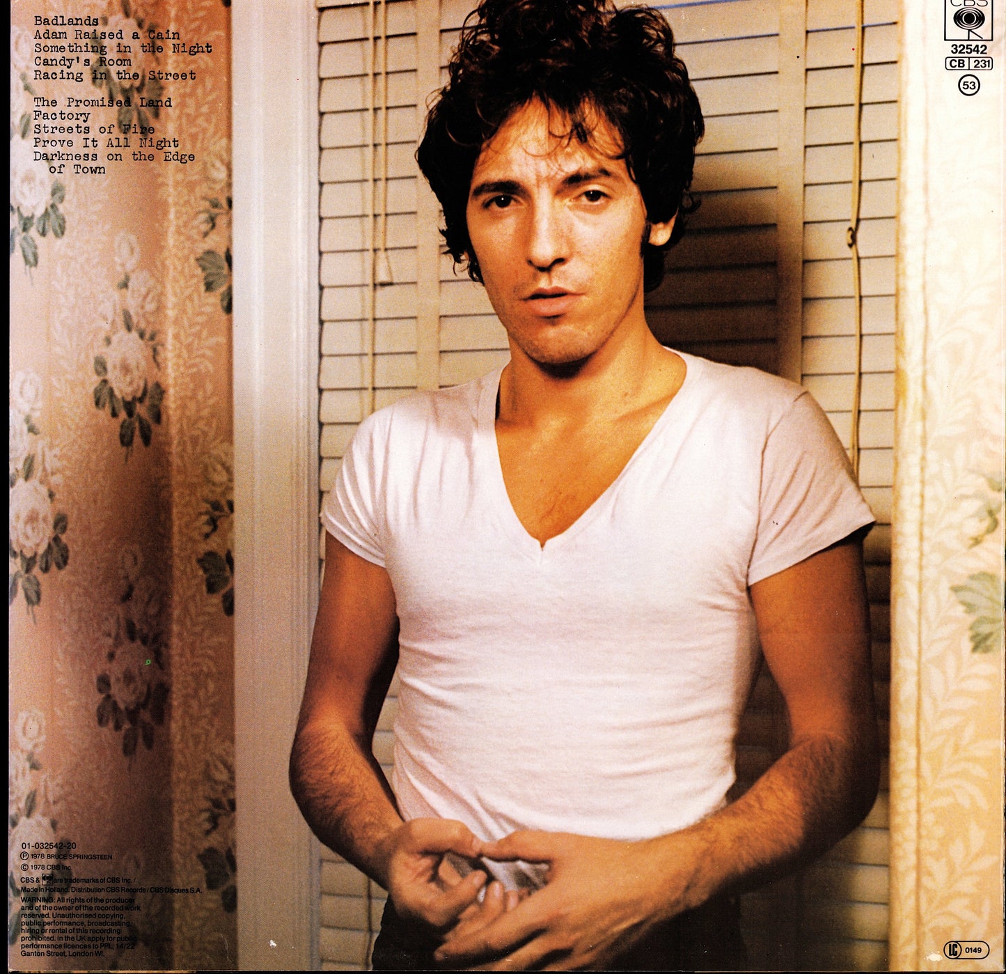 Bruce Springsteen - Darkness On The Edge Of Town Vinyl LP | EU Reissue | Nice Price