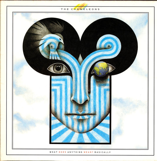 The Chameleons – What Does Anything Mean? Basically (Vinyl LP)