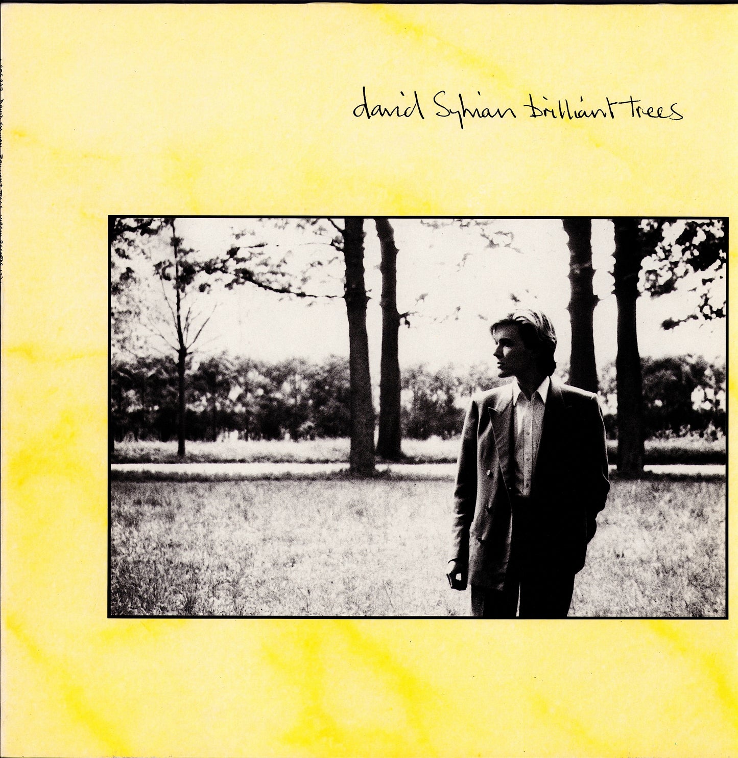 David Sylvian – Brilliant Trees Vinyl LP