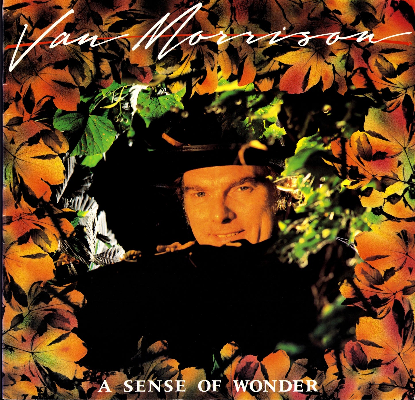 Van Morrison – A Sense Of Wonder Vinyl LP