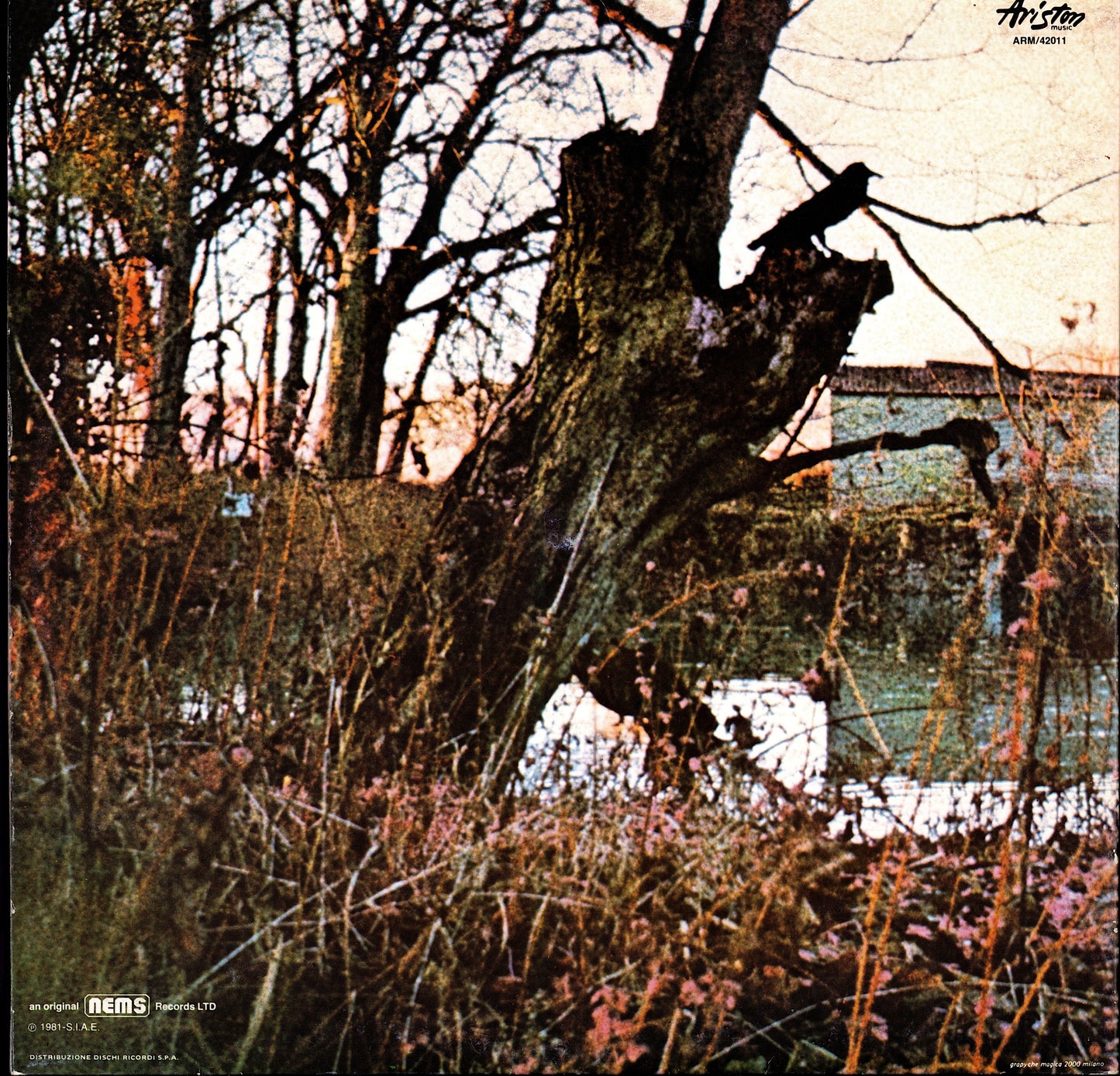 Black Sabbath - Black Sabbath (Vinyl LP | IT Reissue | 1981)