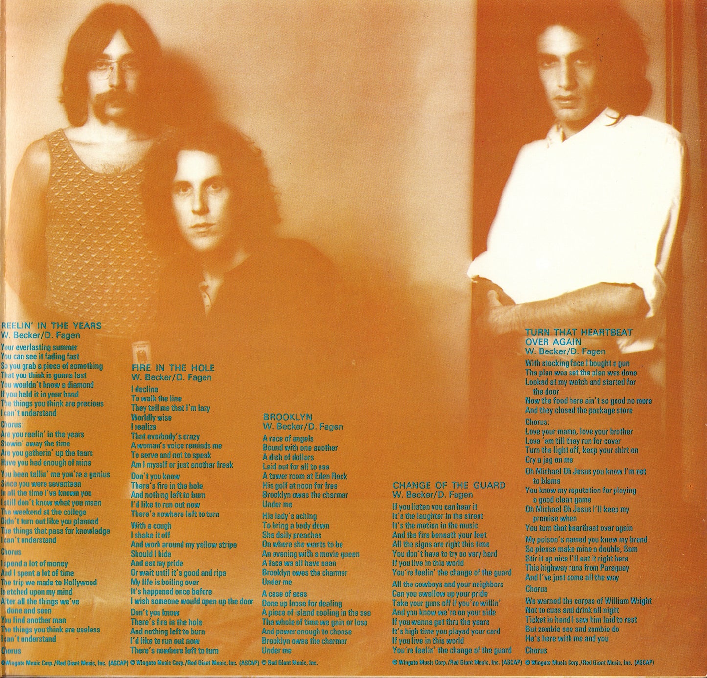Steely Dan ‎- Can't Buy A Thrill Vinyl LP
