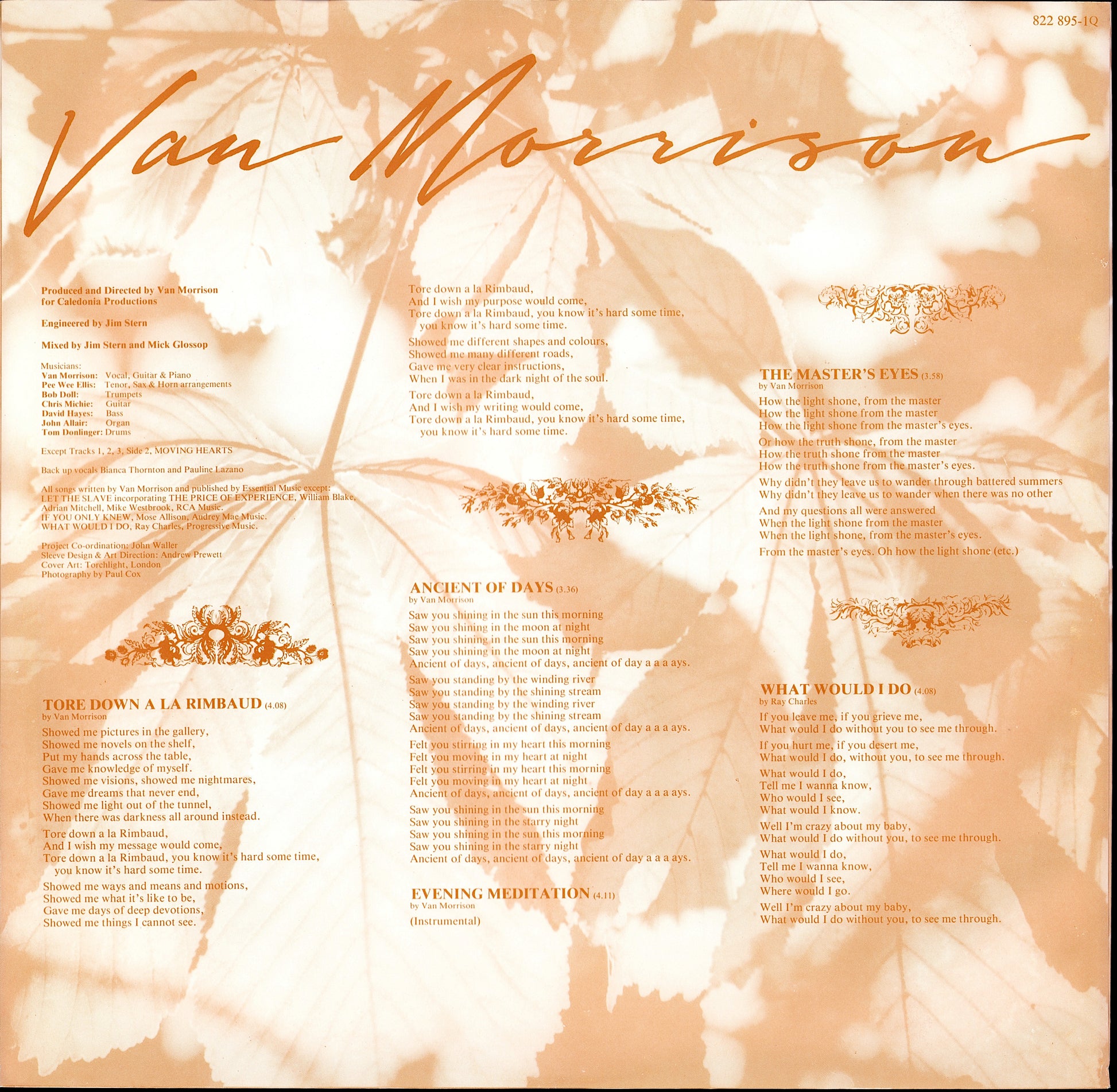 Van Morrison – A Sense Of Wonder Vinyl LP