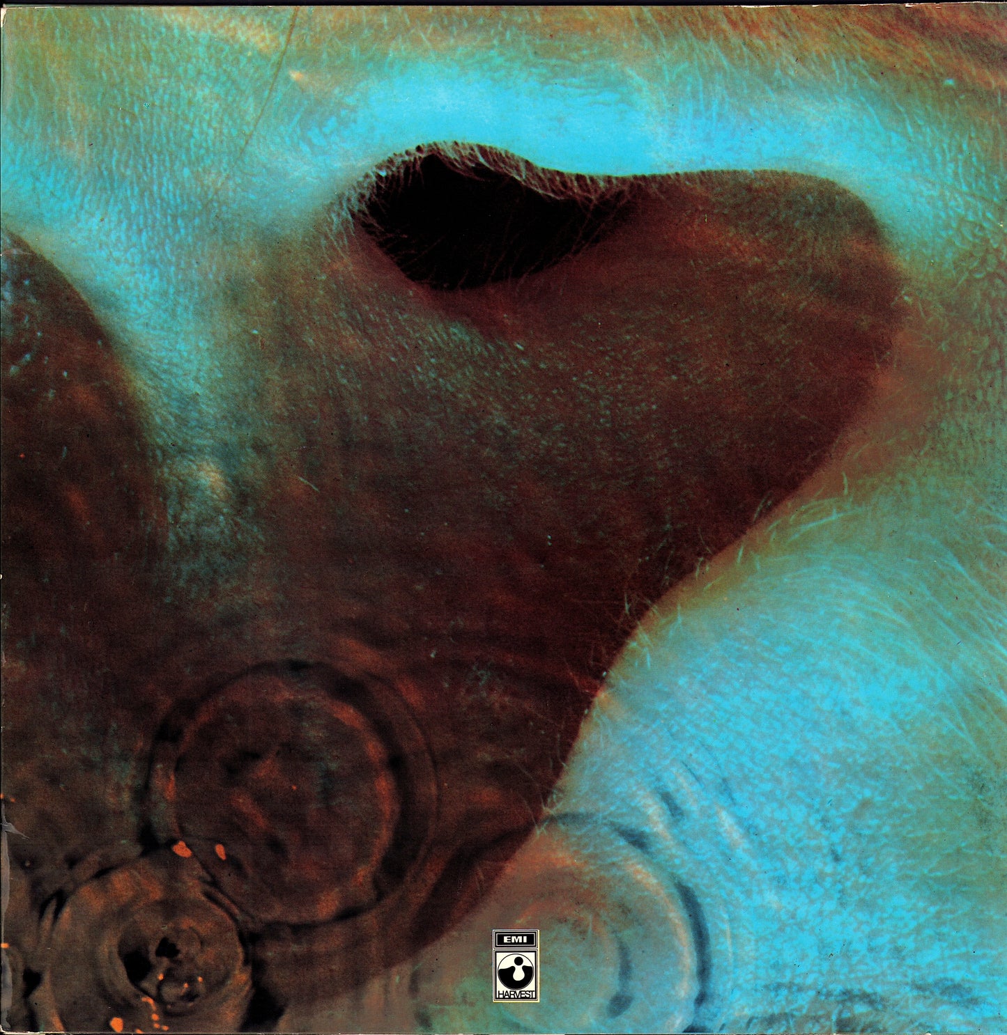 Pink Floyd - Meddle (Vinyl LP) 