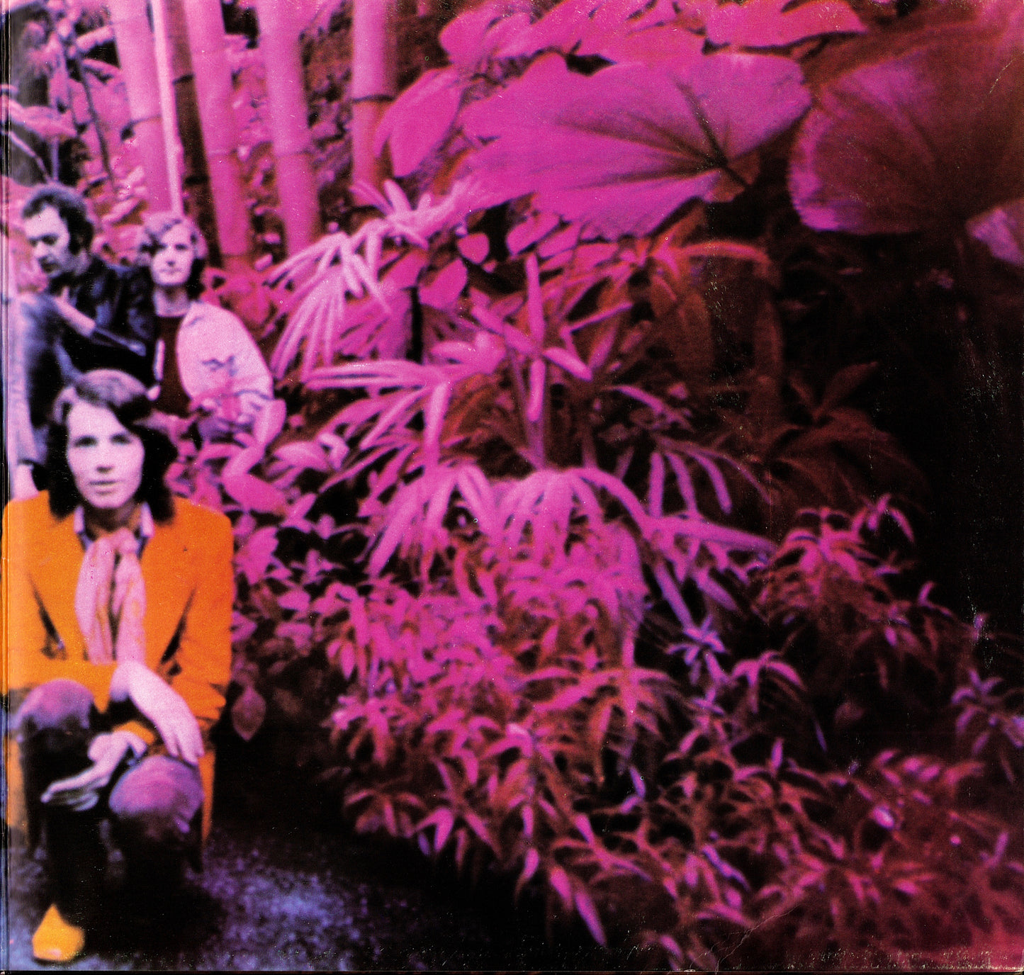 Amon Düül II ‎- Carnival In Babylon Vinyl LP