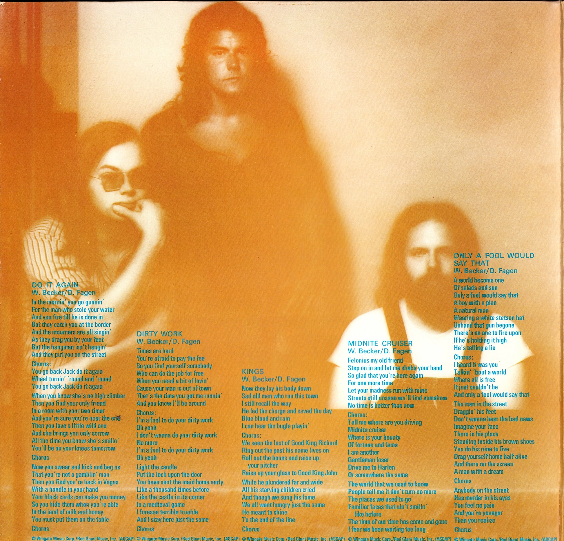 Steely Dan ‎- Can't Buy A Thrill Vinyl LP