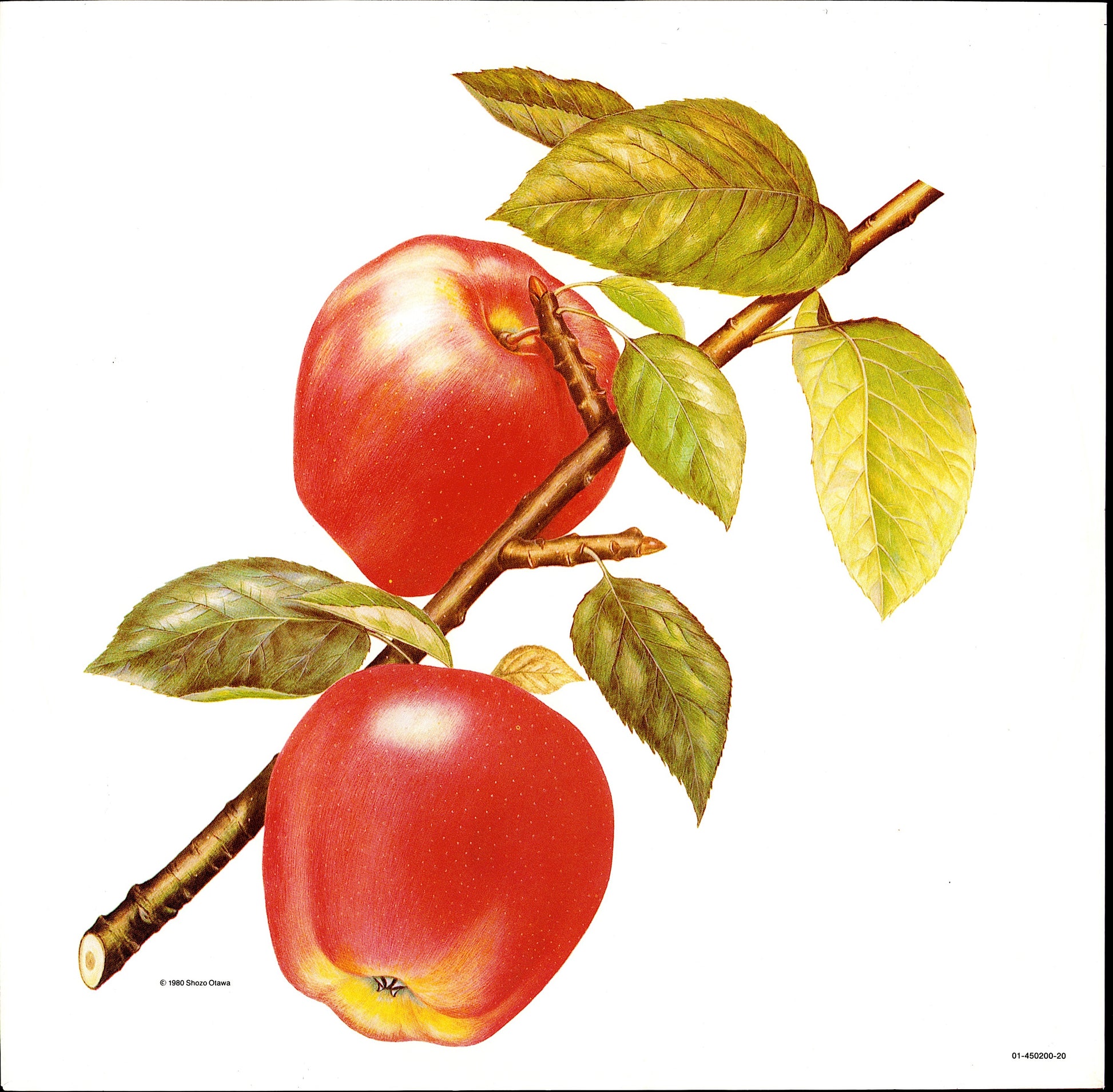 The Rolling Stones ‎- Undercover Vinyl LP