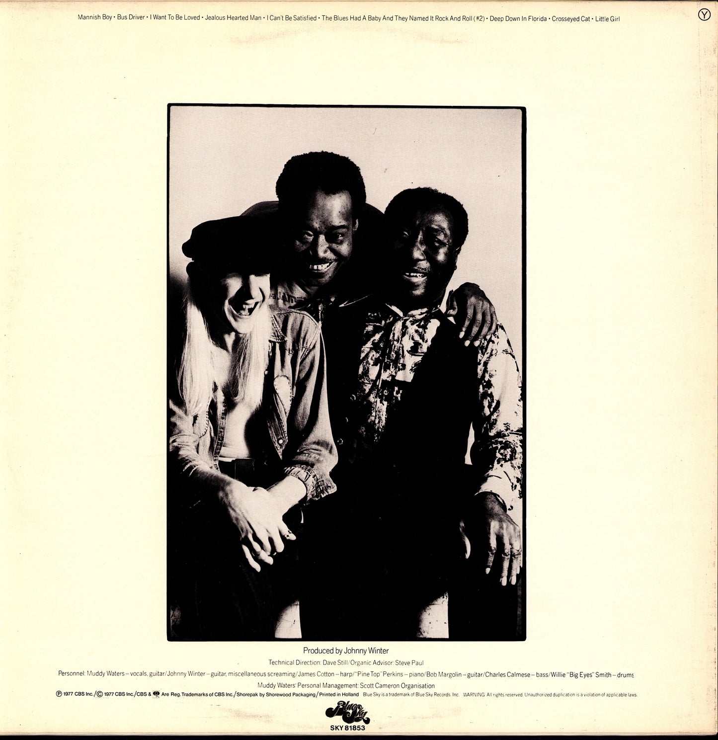 Muddy Waters - King Bee Vinyl LP | DE Original | 1981 Kopie