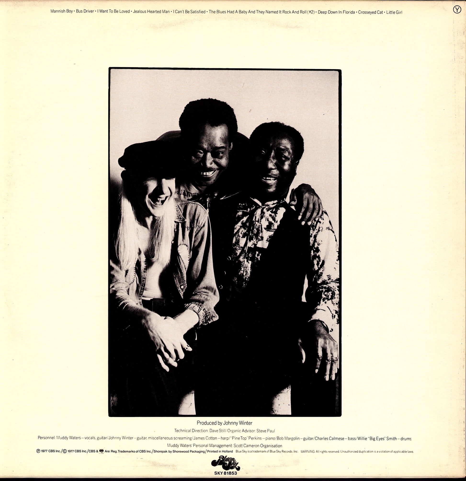 Muddy Waters - King Bee Vinyl LP | DE Original | 1981 Kopie