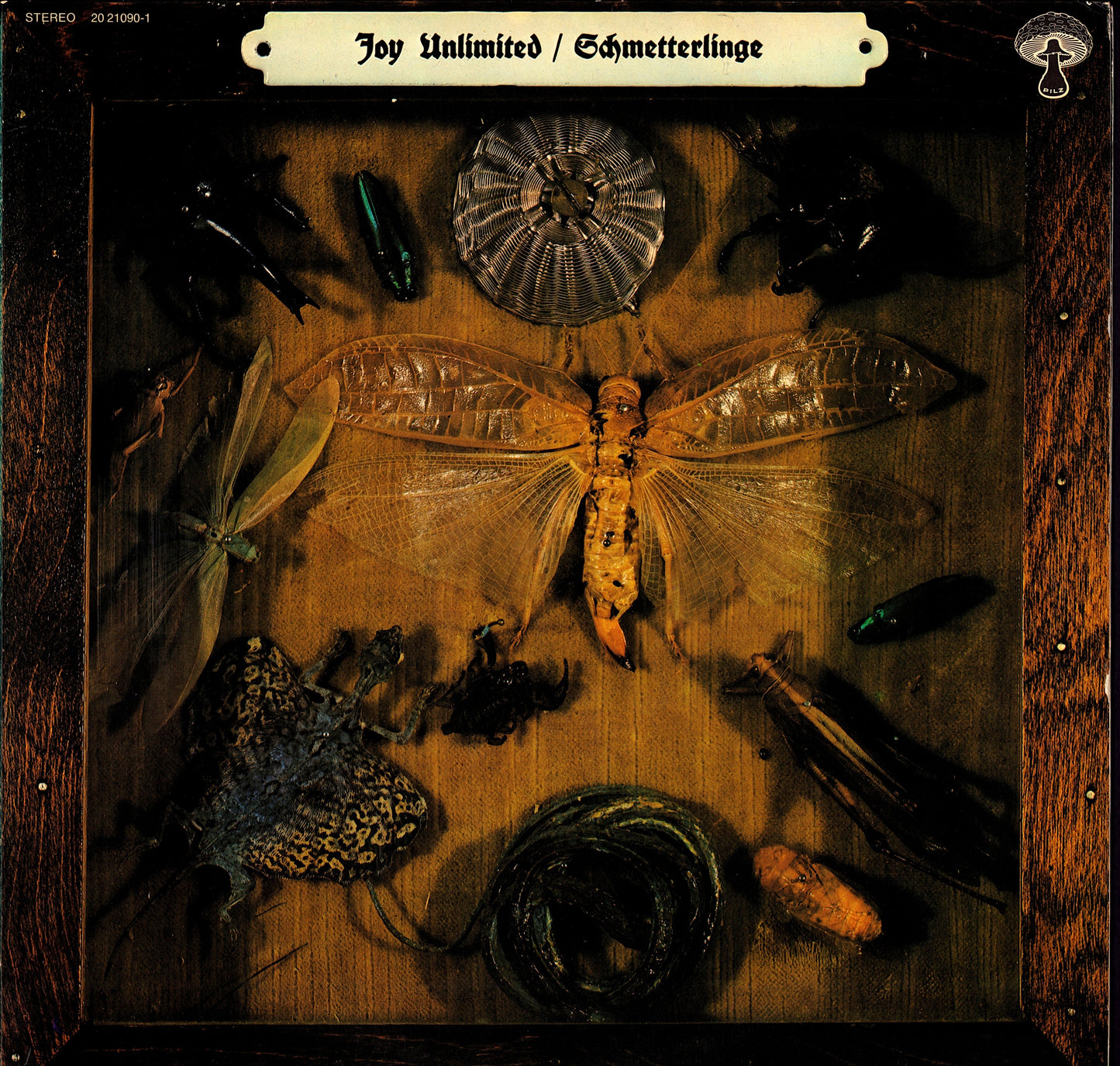 Joy Unlimited - Minne Vinyl LP Kopie