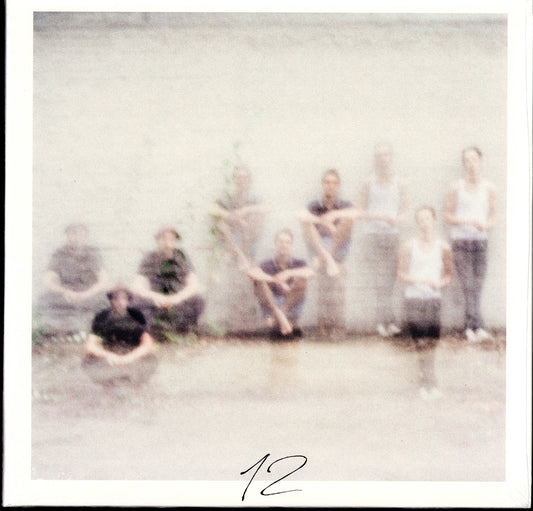 AnnenMayKantereit ‎- 12 Purple Marbled Vinyl LP + CD Limited & Deluxe Edition