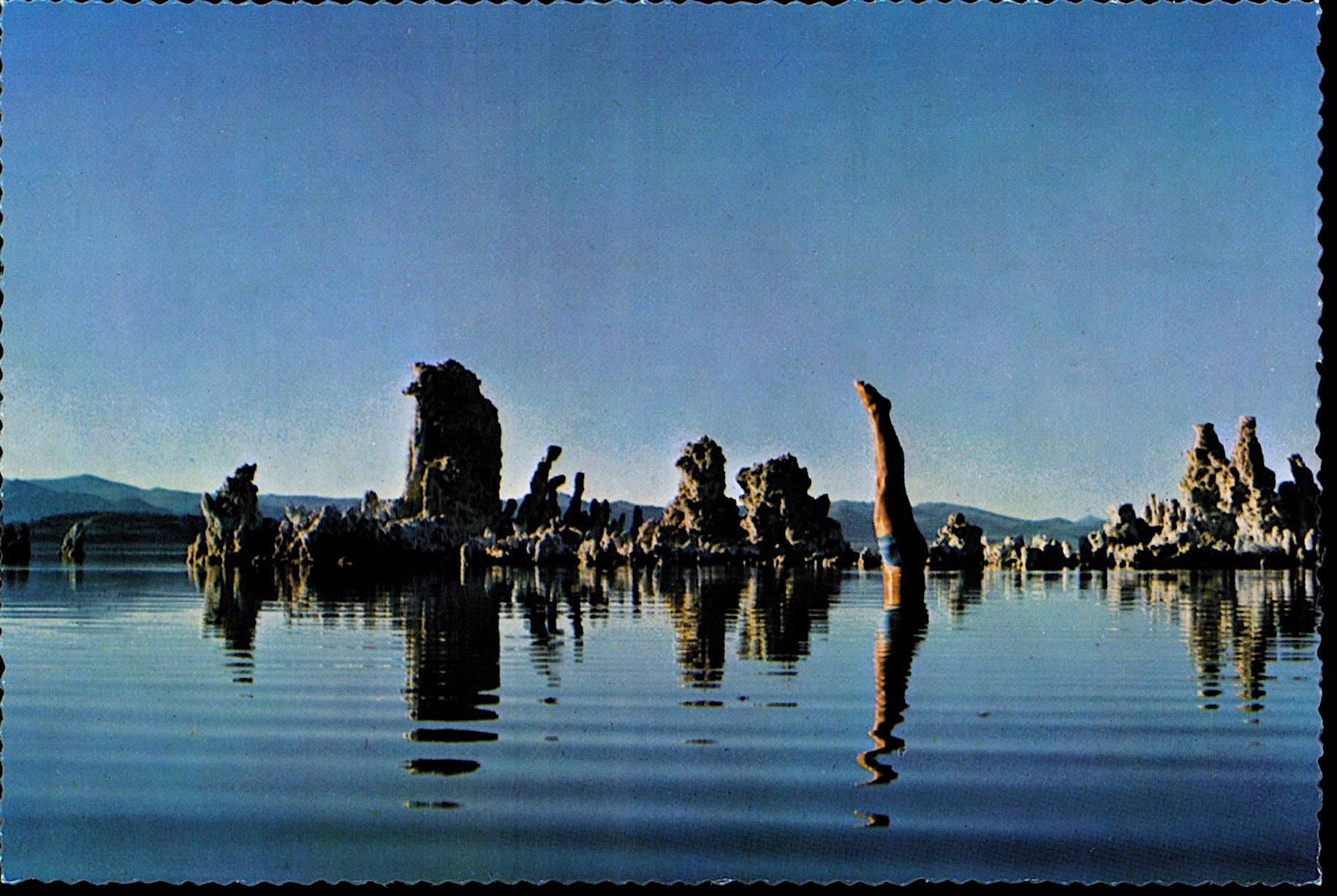 Pink Floyd - Wish You Were Here Vinyl LP Kopie