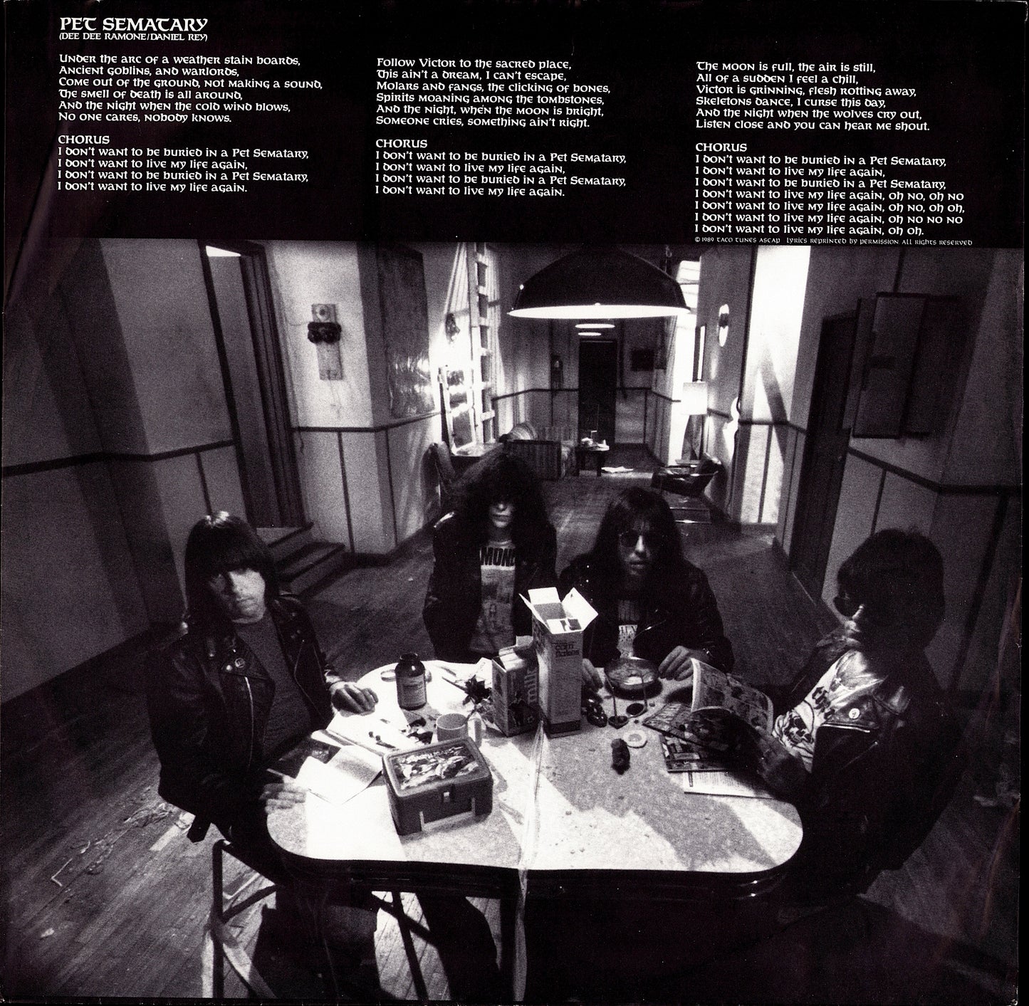 Ramones - Brain Drain Vinyl LP Kopie