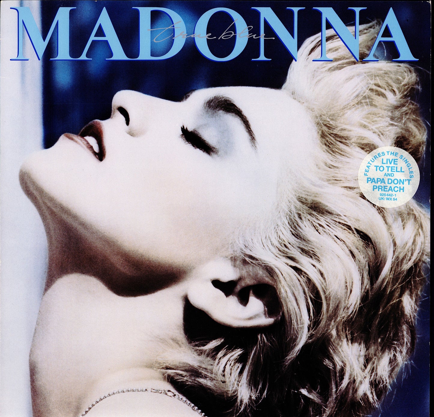 Madonna - True Blue Vinyl LP Kopie