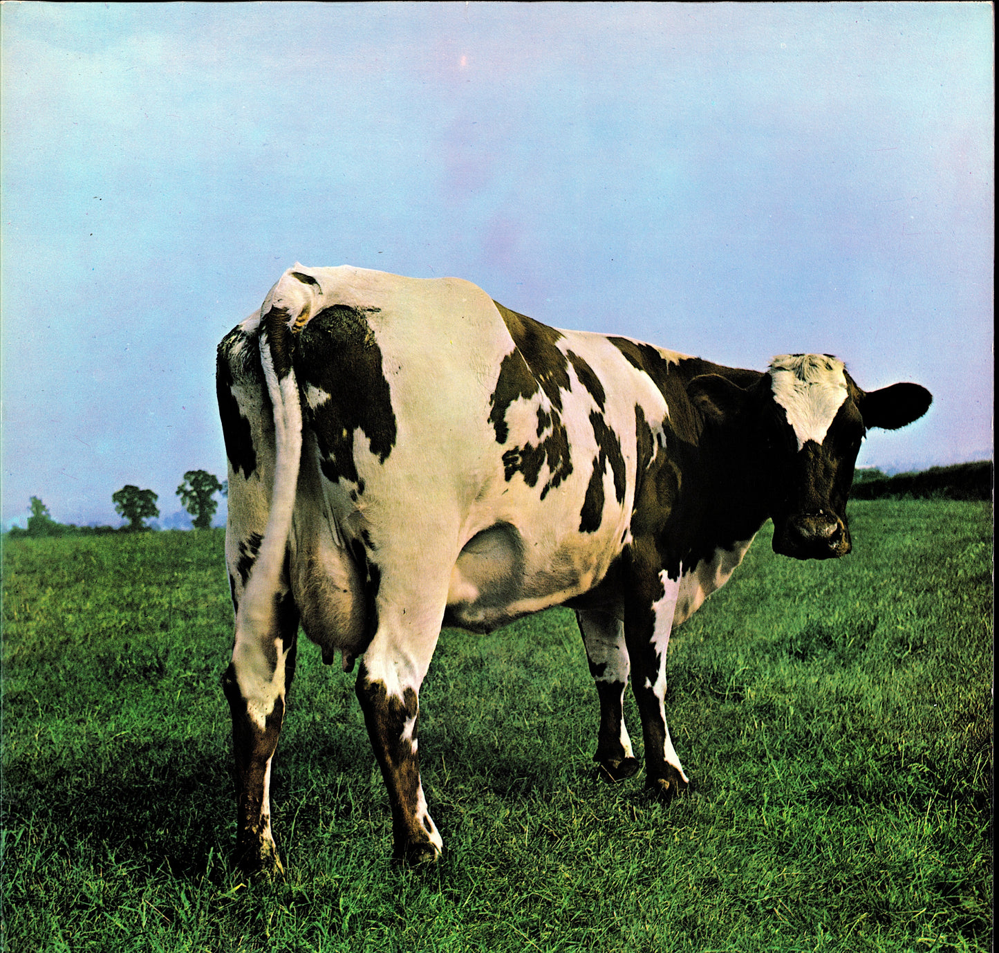 Pink Floyd - Atom Heart Mother Vinyl LP