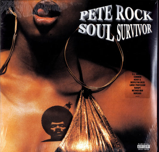 Pete Rock – Soul Survivor (Vinyl 2LP | US | 2026) 