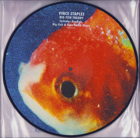 Vince Staples ‎- Big Fish Theory (Picture Disc Vinyl 2LP) Limited Edition