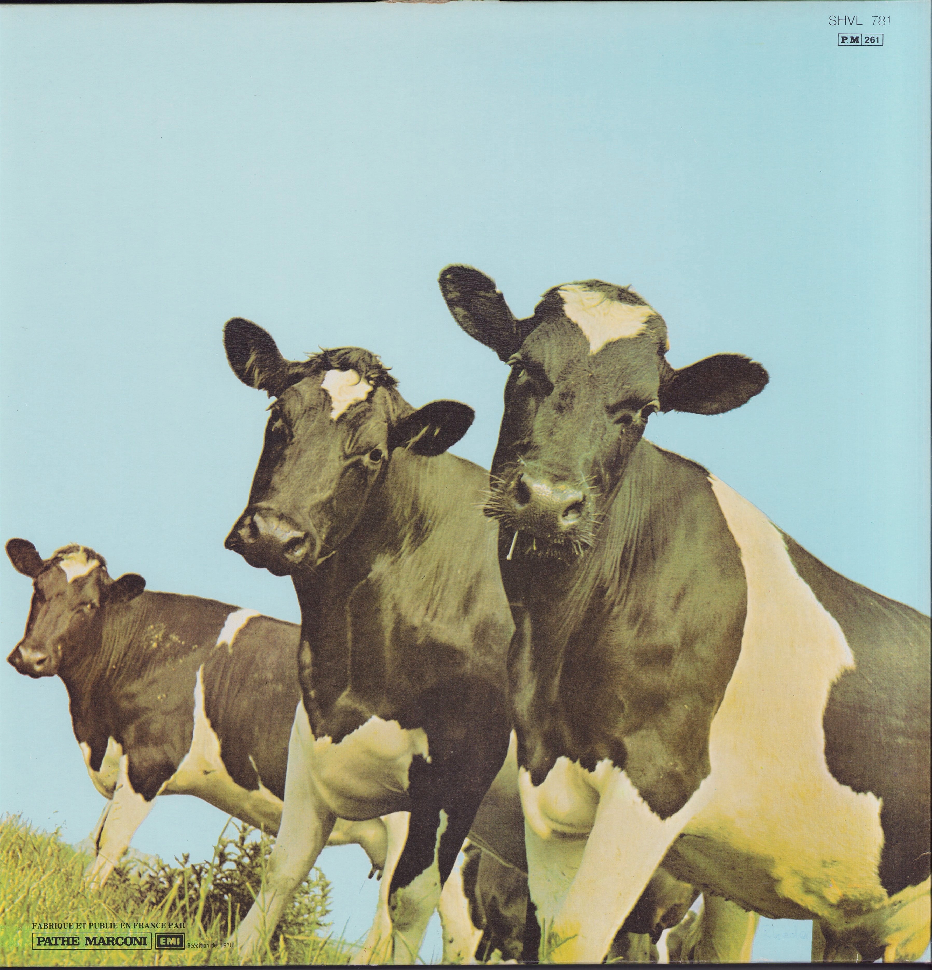 Pink Floyd ‎- Atom Heart Mother (Vinyl LP) FR – Devinylhunter-Records