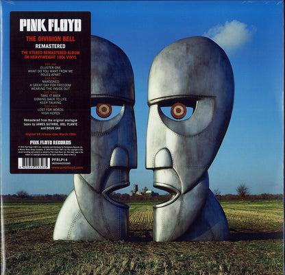 Pink Floyd ‎- The Division Bell Vinyl 2LP