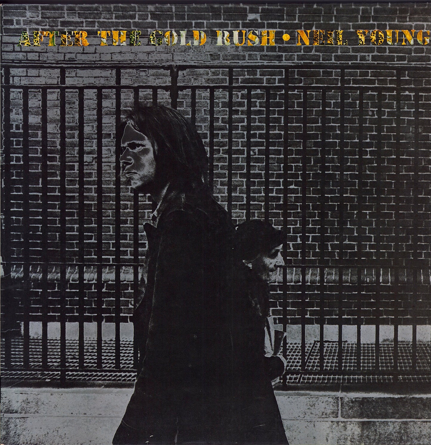  Neil Young ‎- After The Gold Rush (Vinyl LP)