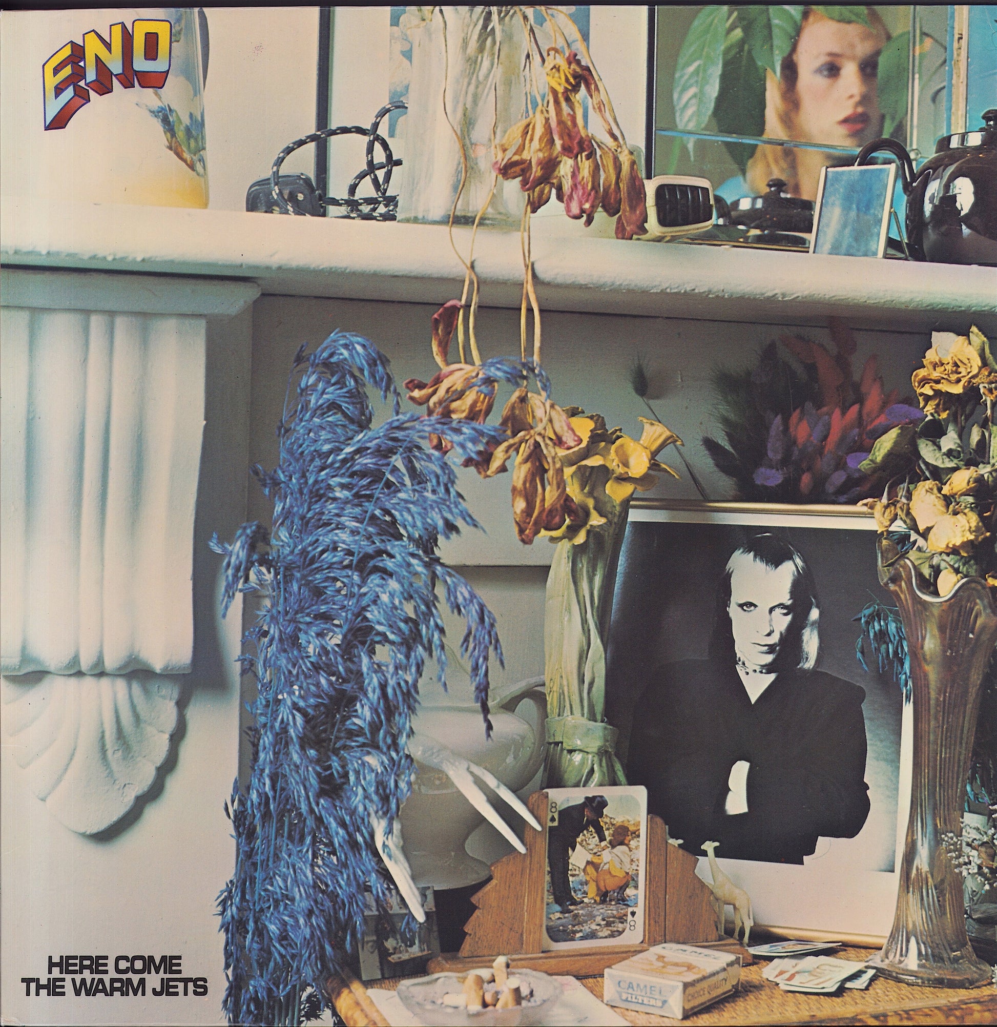 Brian Eno - Here Come The Warm Jets (Vinyl LP) DE