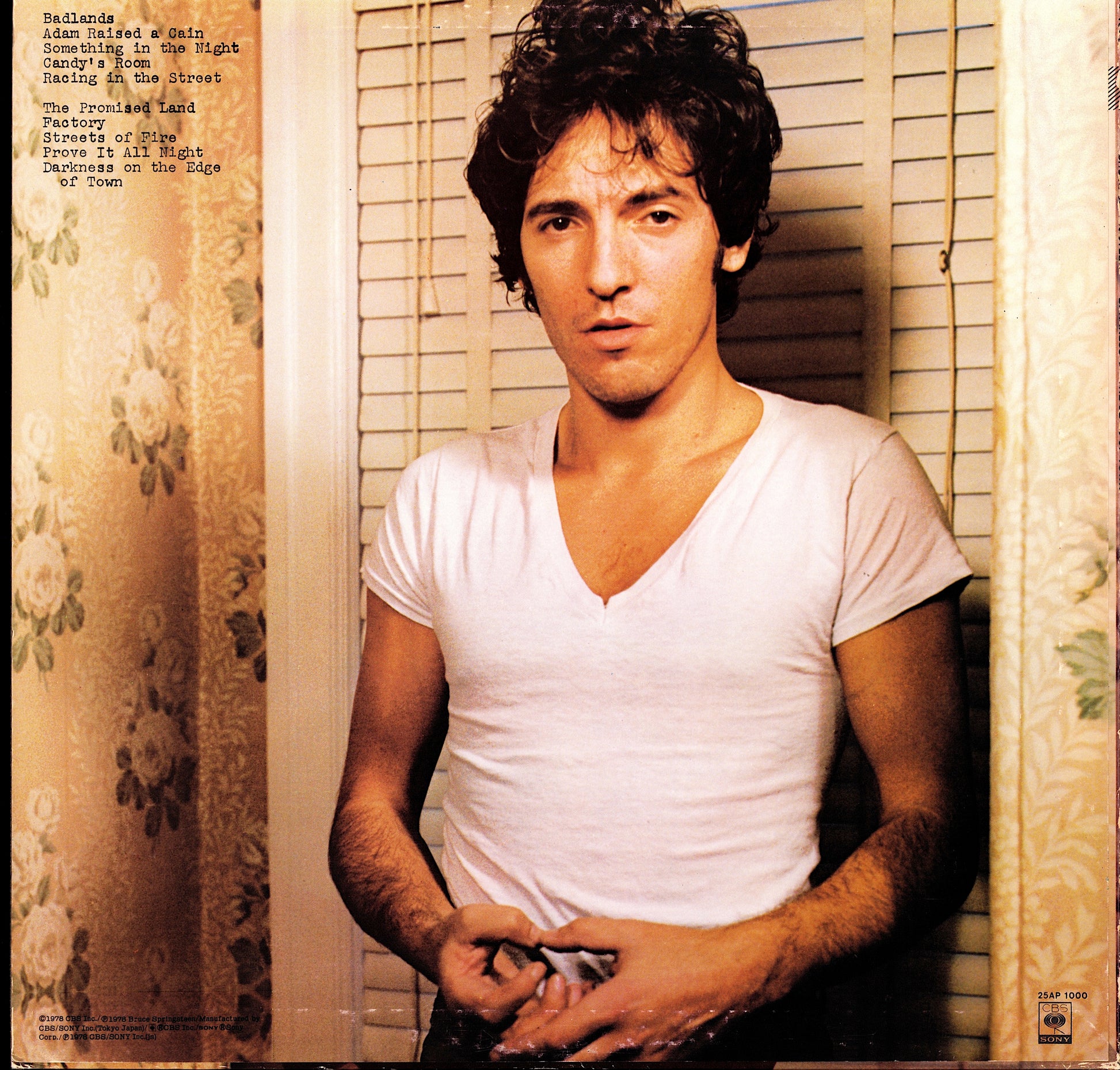 Bruce Springsteen - Darkness On The Edge Of Town Vinyl LP | EU Reissue | Nice Price Kopie